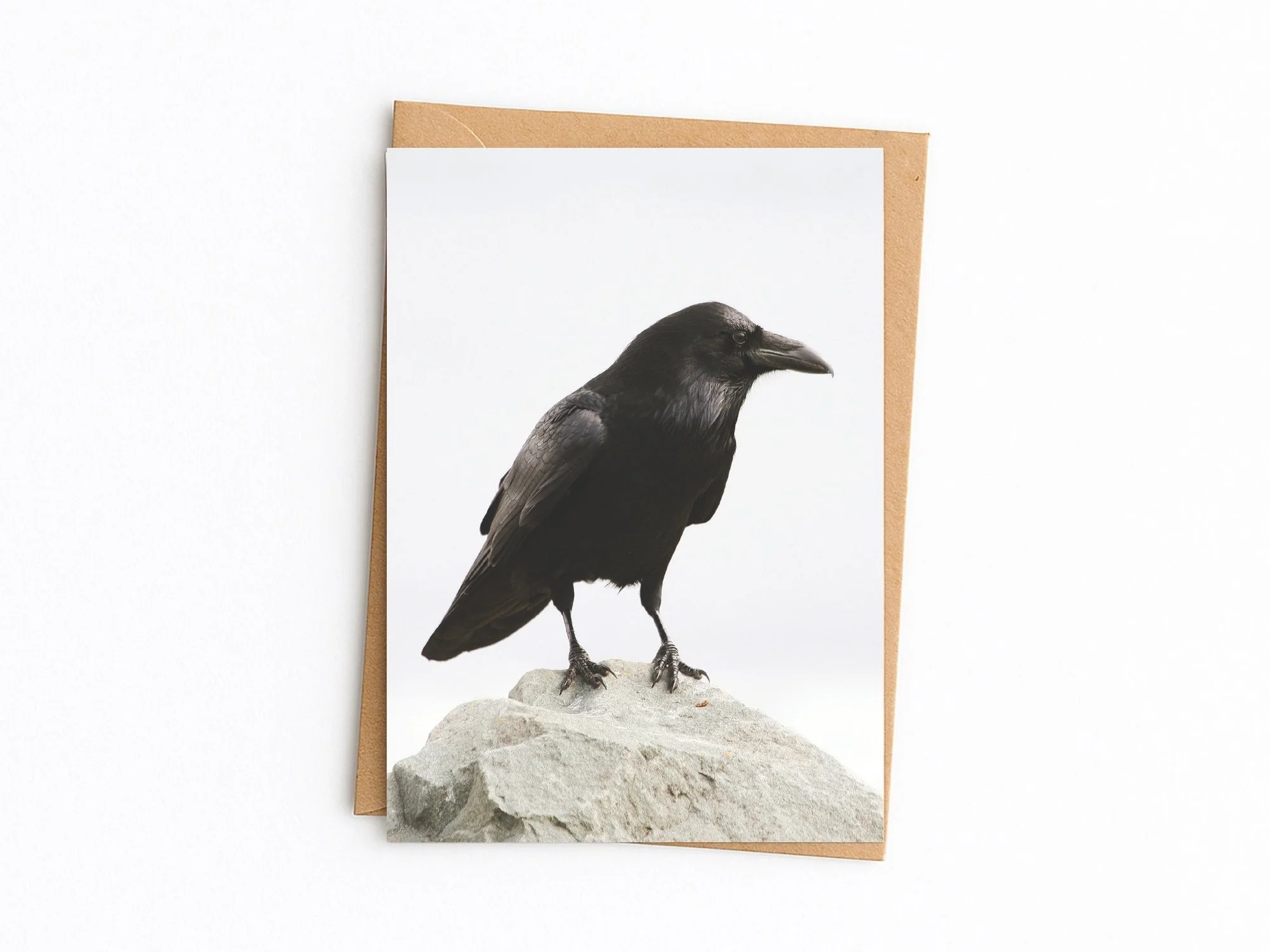 Common Raven blank note card