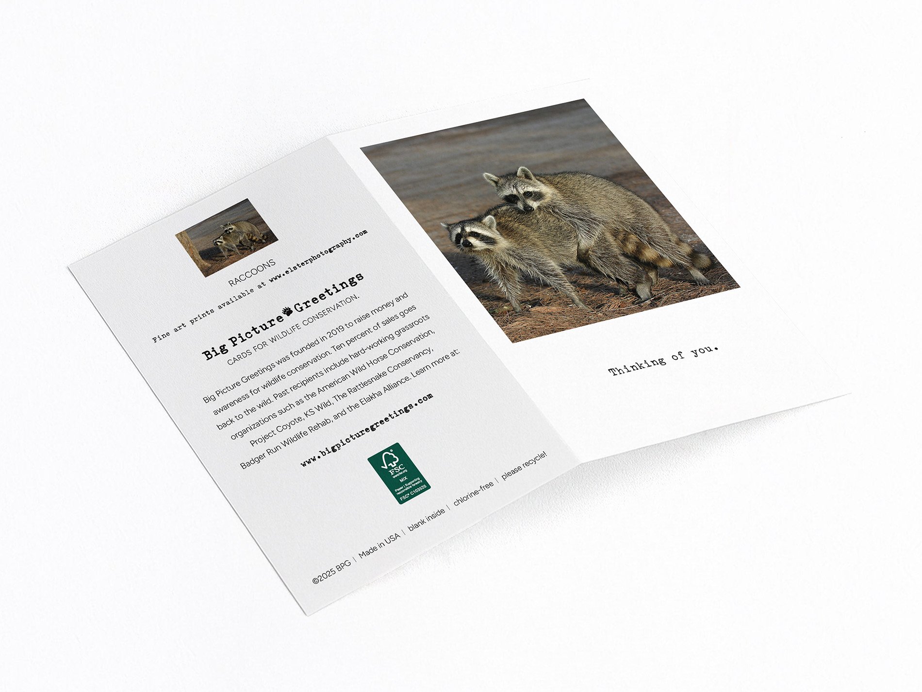 toy finished mockup jpeg.jpg