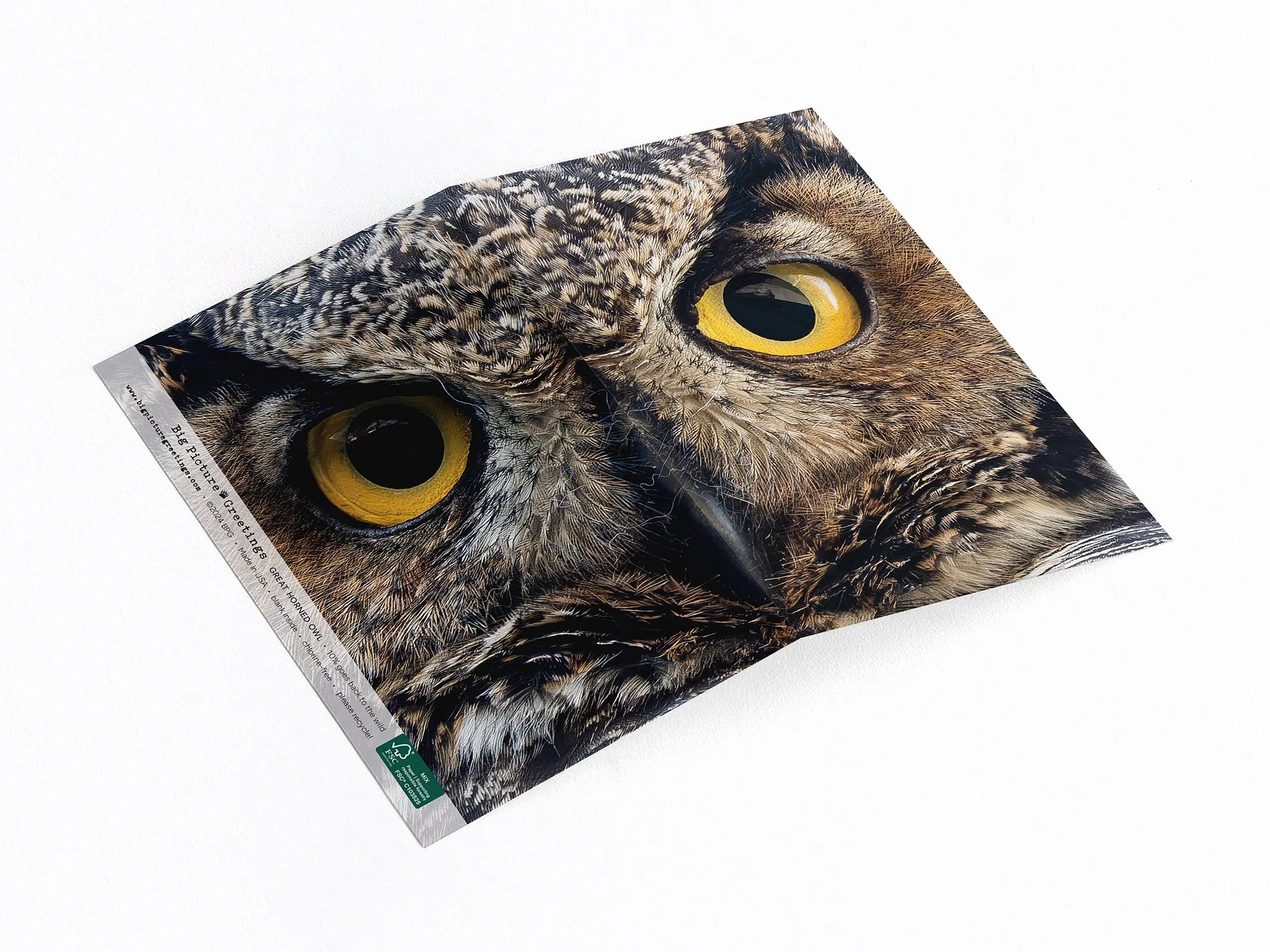 Great Horned Owl - Wrap around card
