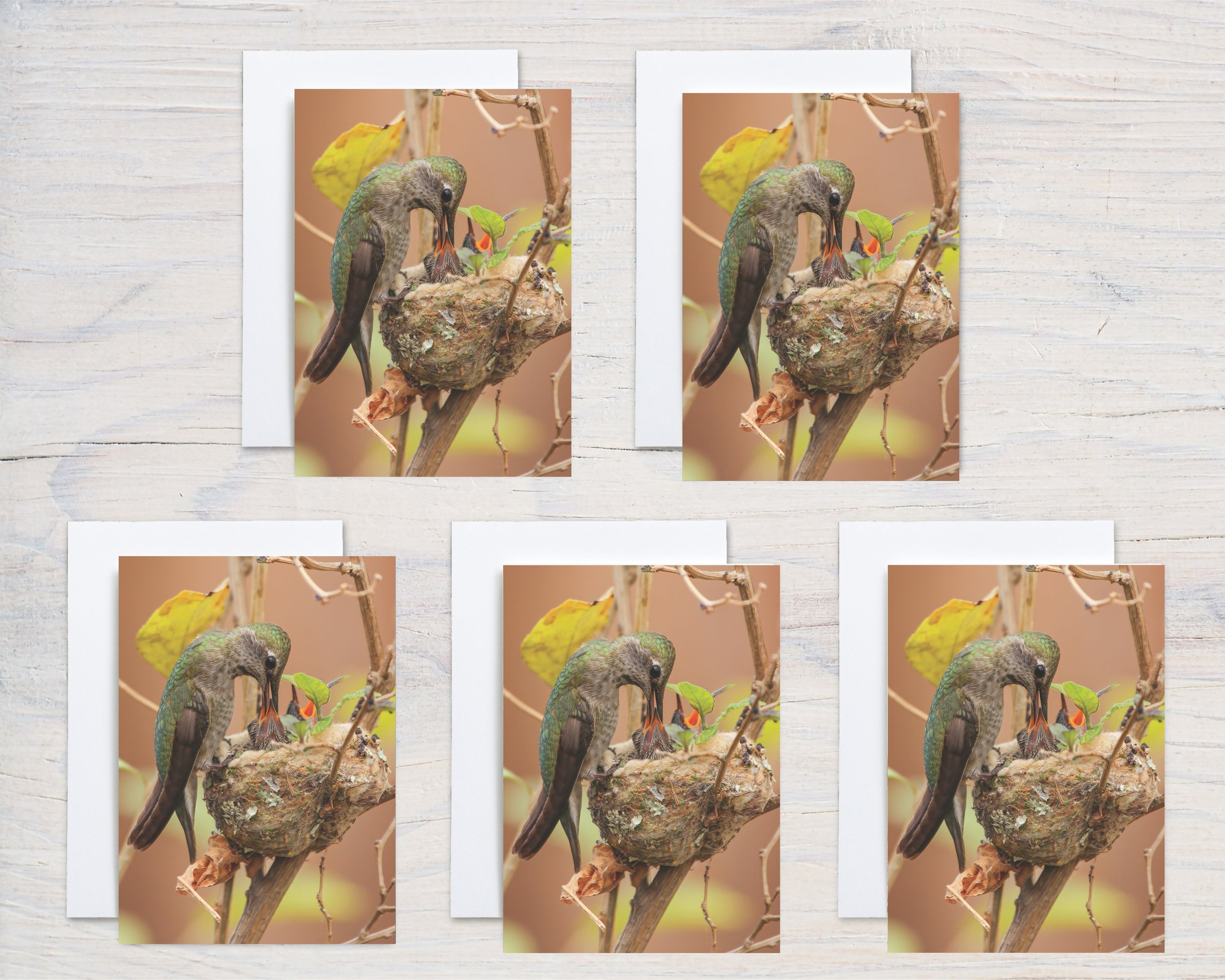 Untitled design - 2024-10-20T074019.755.jpg