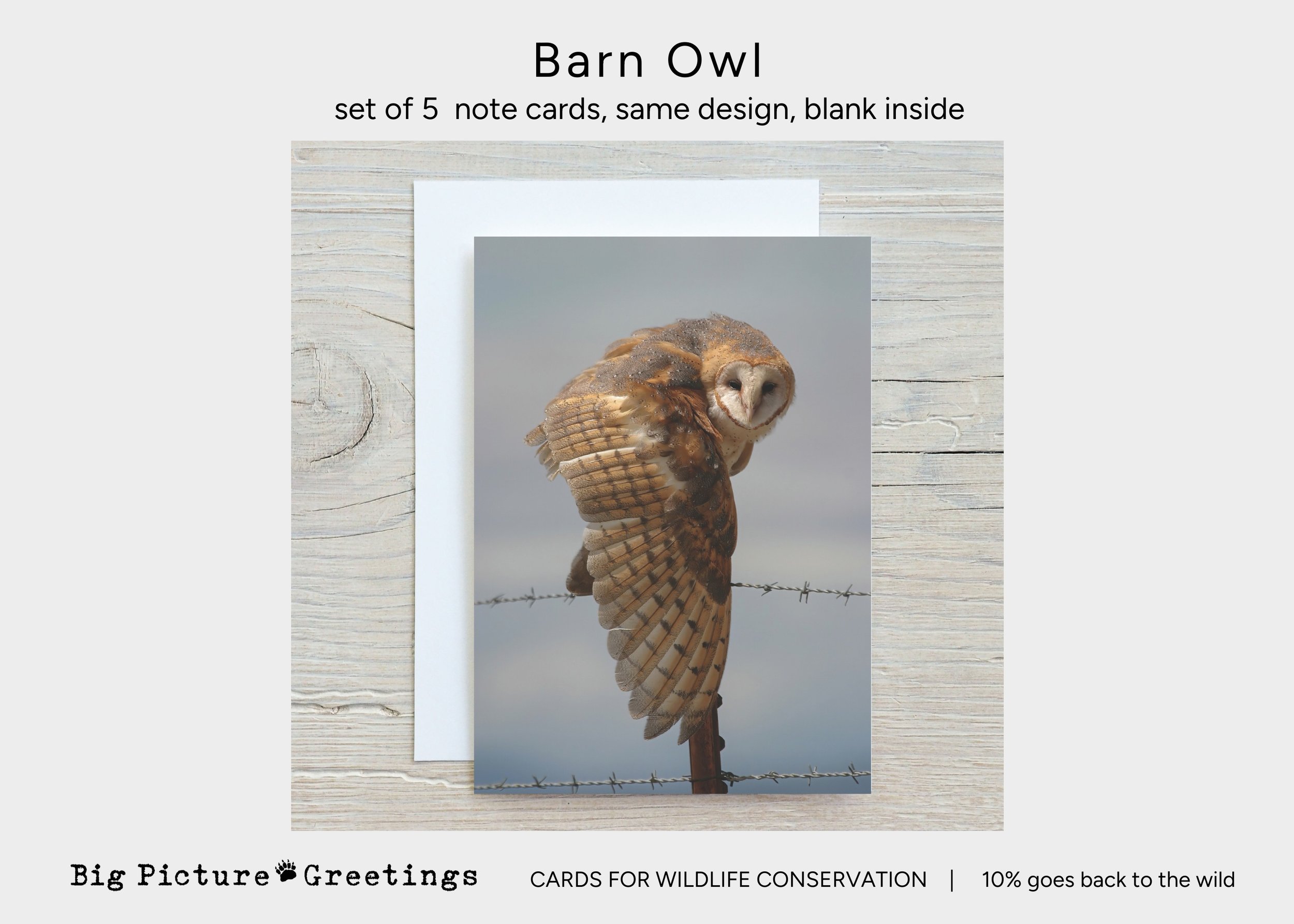 Copy of Copy of cards for wildlife conservation (4).jpg