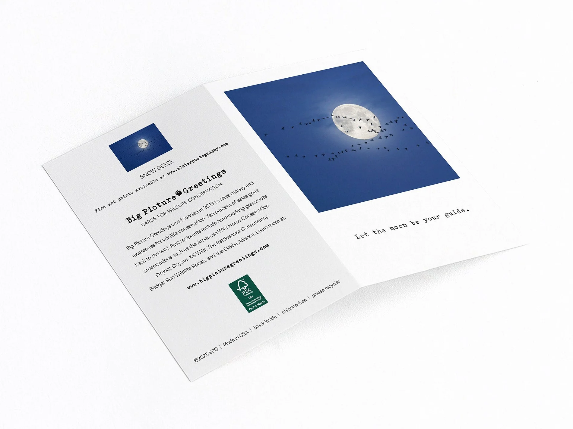 moon guide finished mockjpeg.jpg