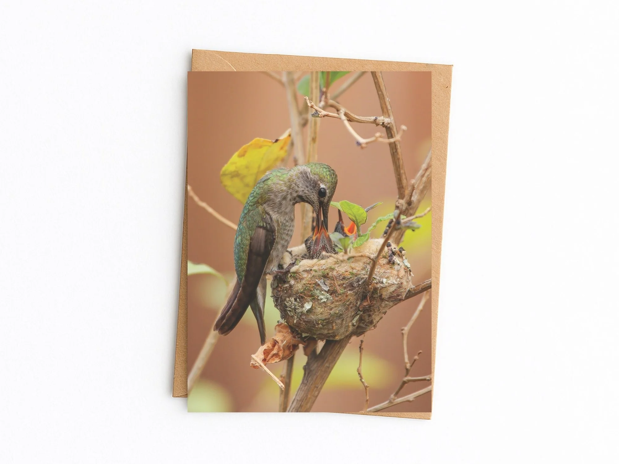 Anna's Hummingbird nest blank note card