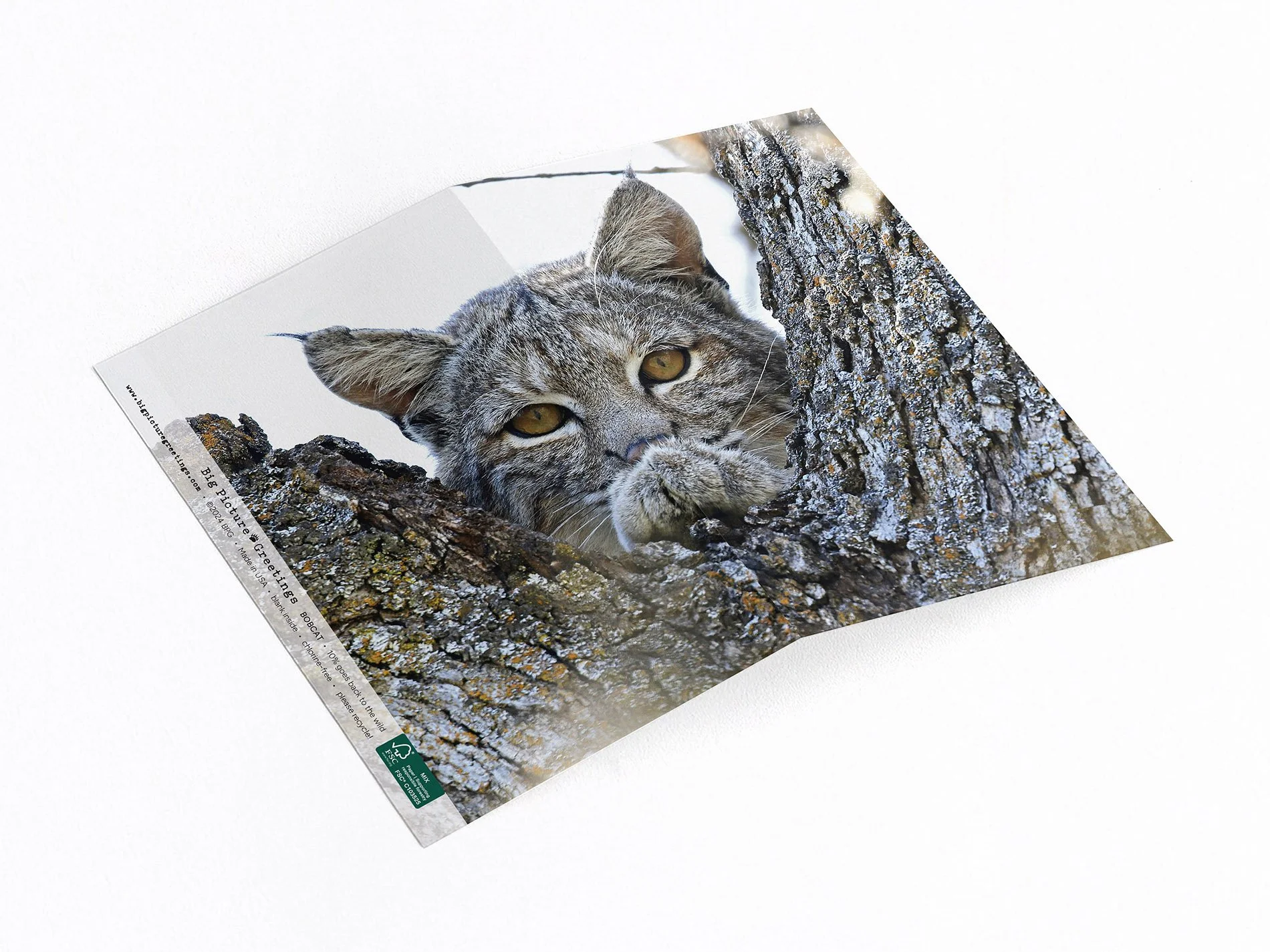 Bobcat -  Wrap around note card