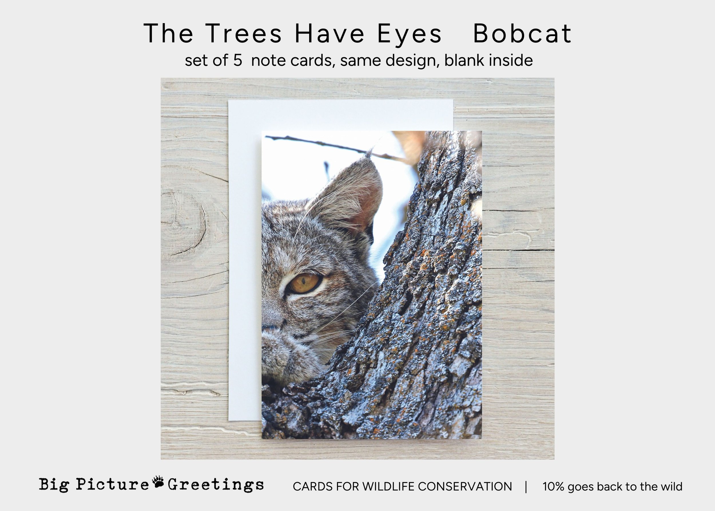 Copy of Copy of cards for wildlife conservation (6).jpg
