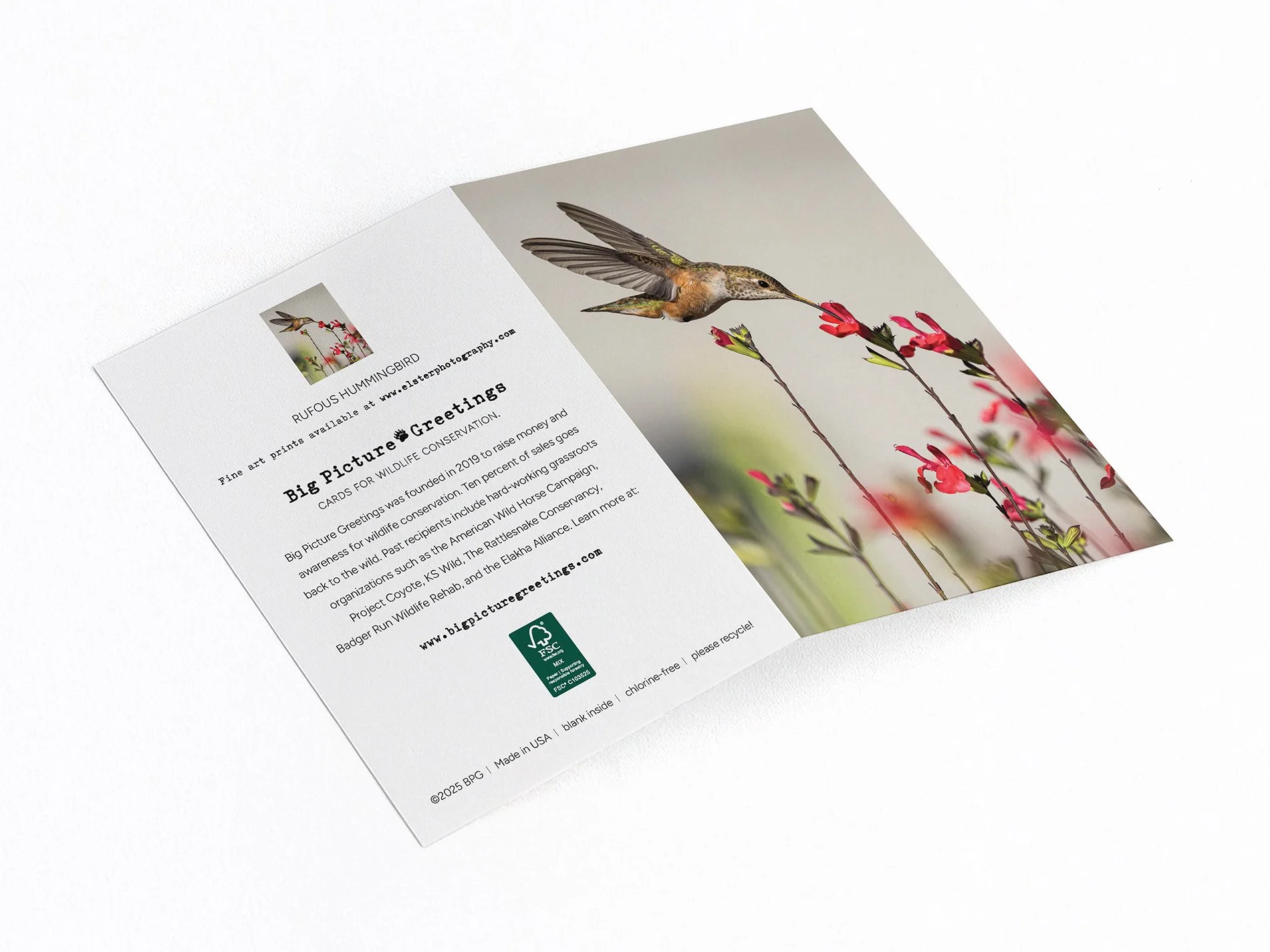 rufous finished mockjpeg.jpg