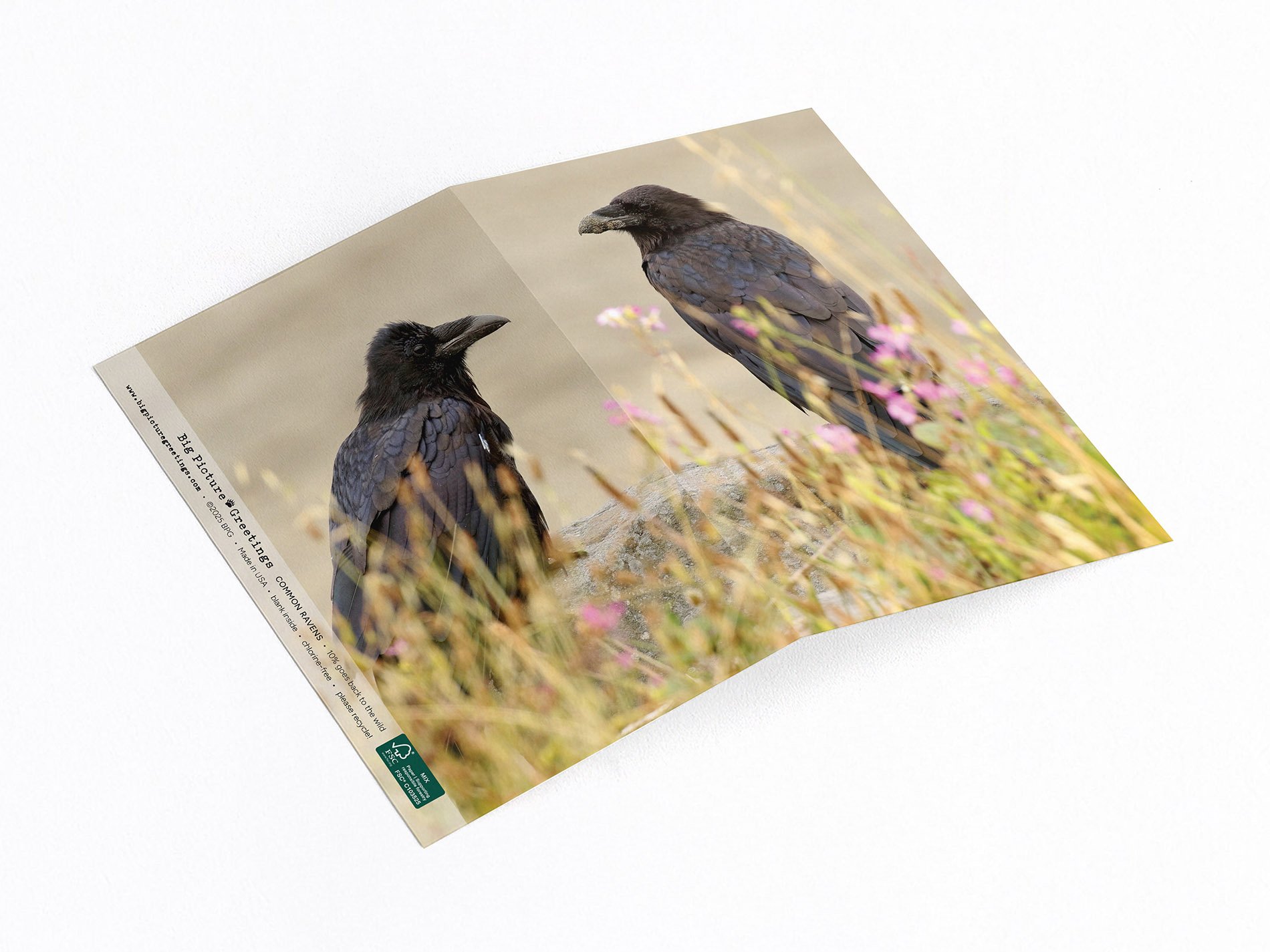 Common Ravens wrap around note card