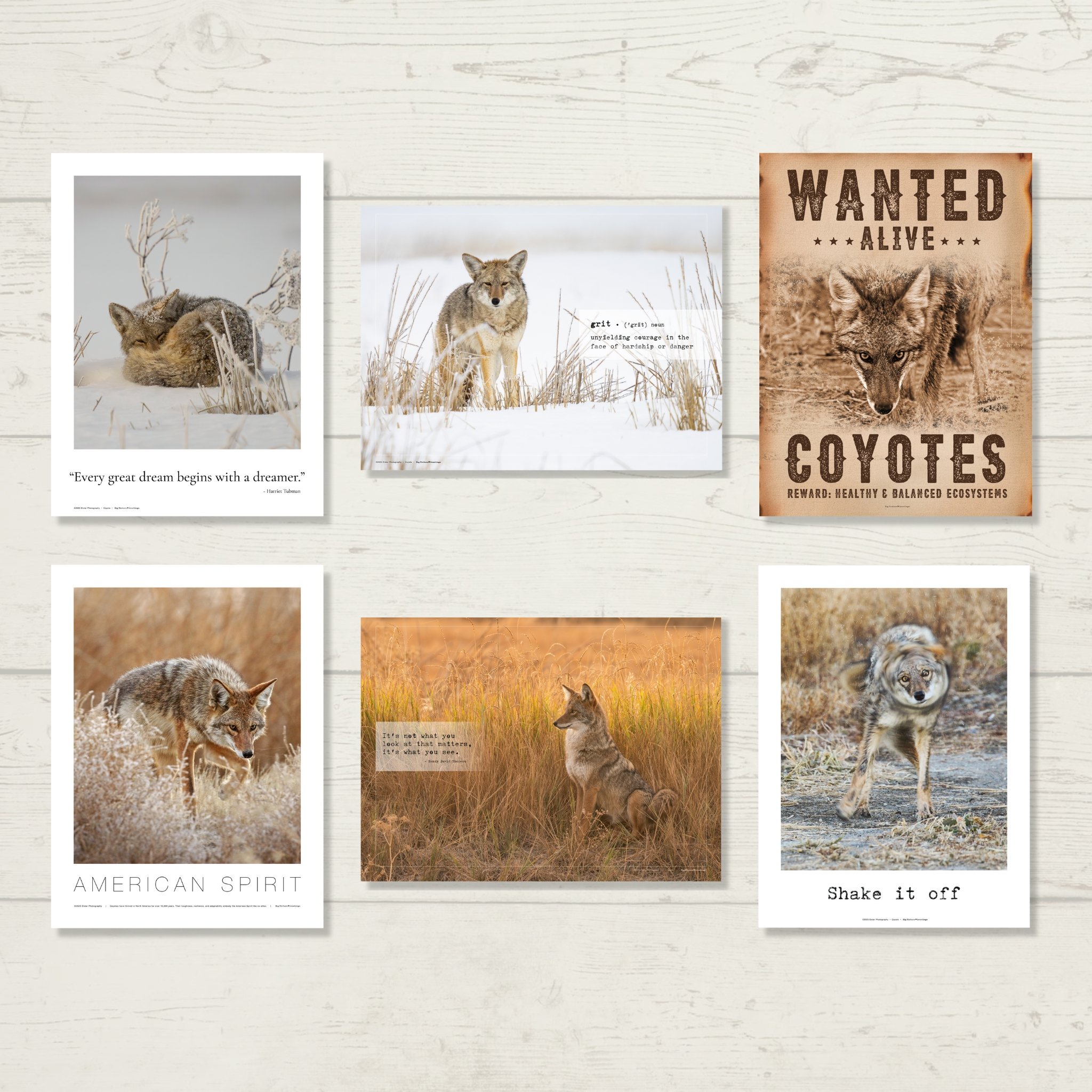 Set of Six Postcards