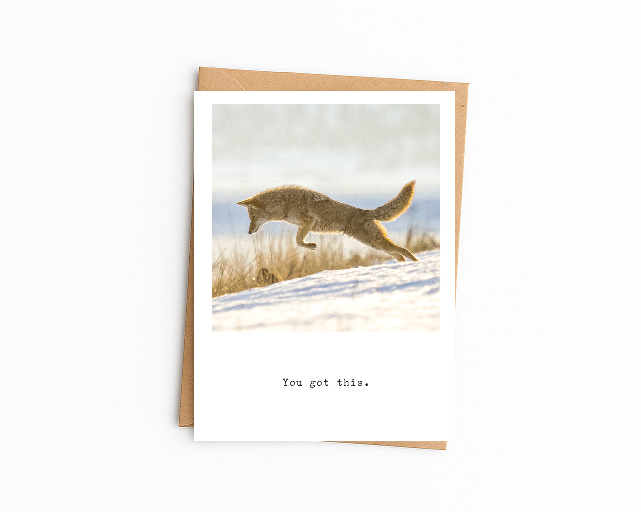 5x7 white with kraft envelope.png