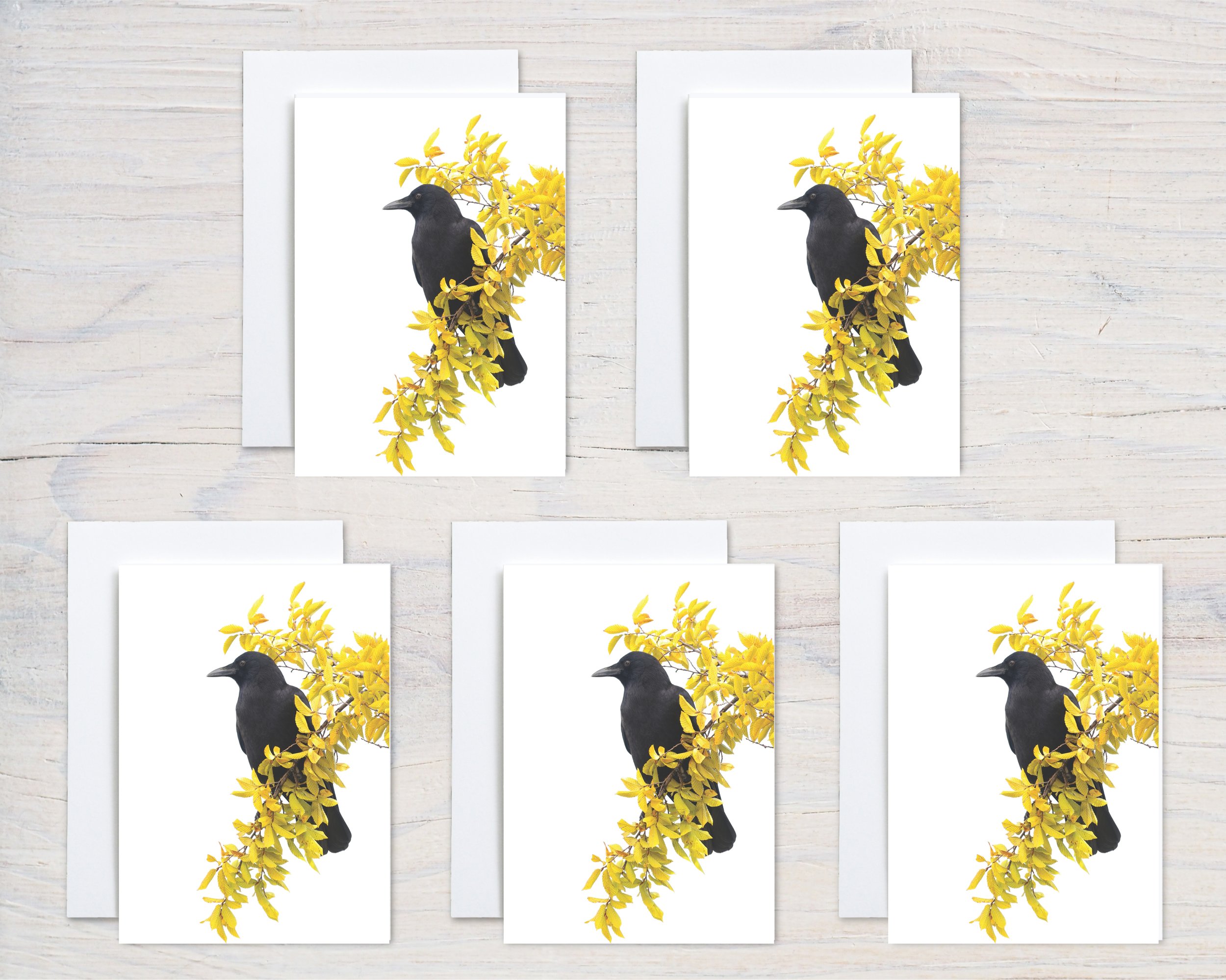 Untitled design - 2024-10-17T064113.337.jpg
