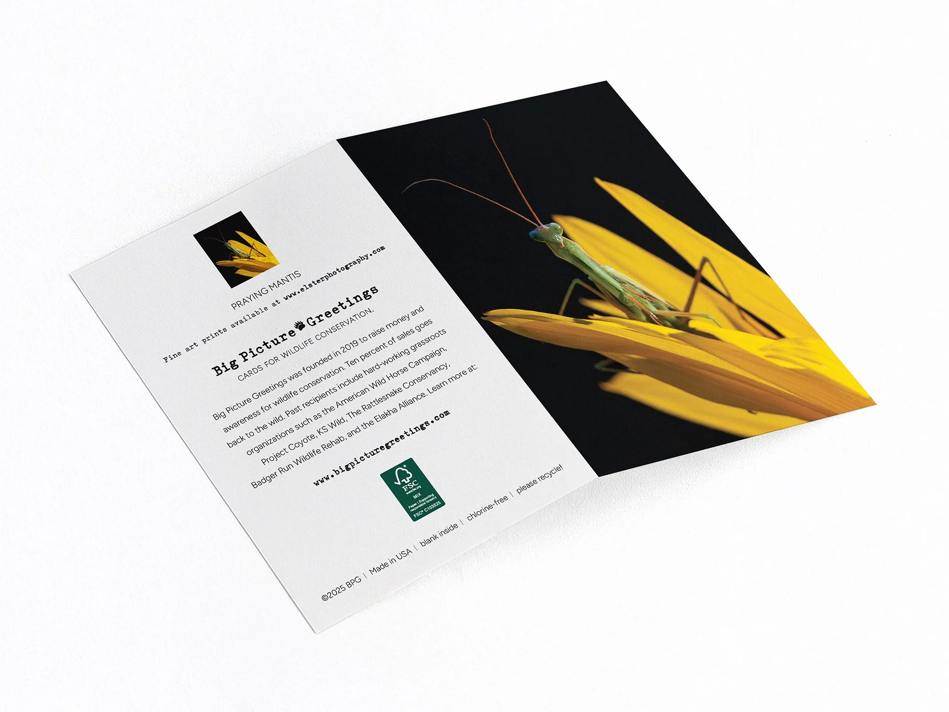 praying mantis finished mock jpeg.jpg