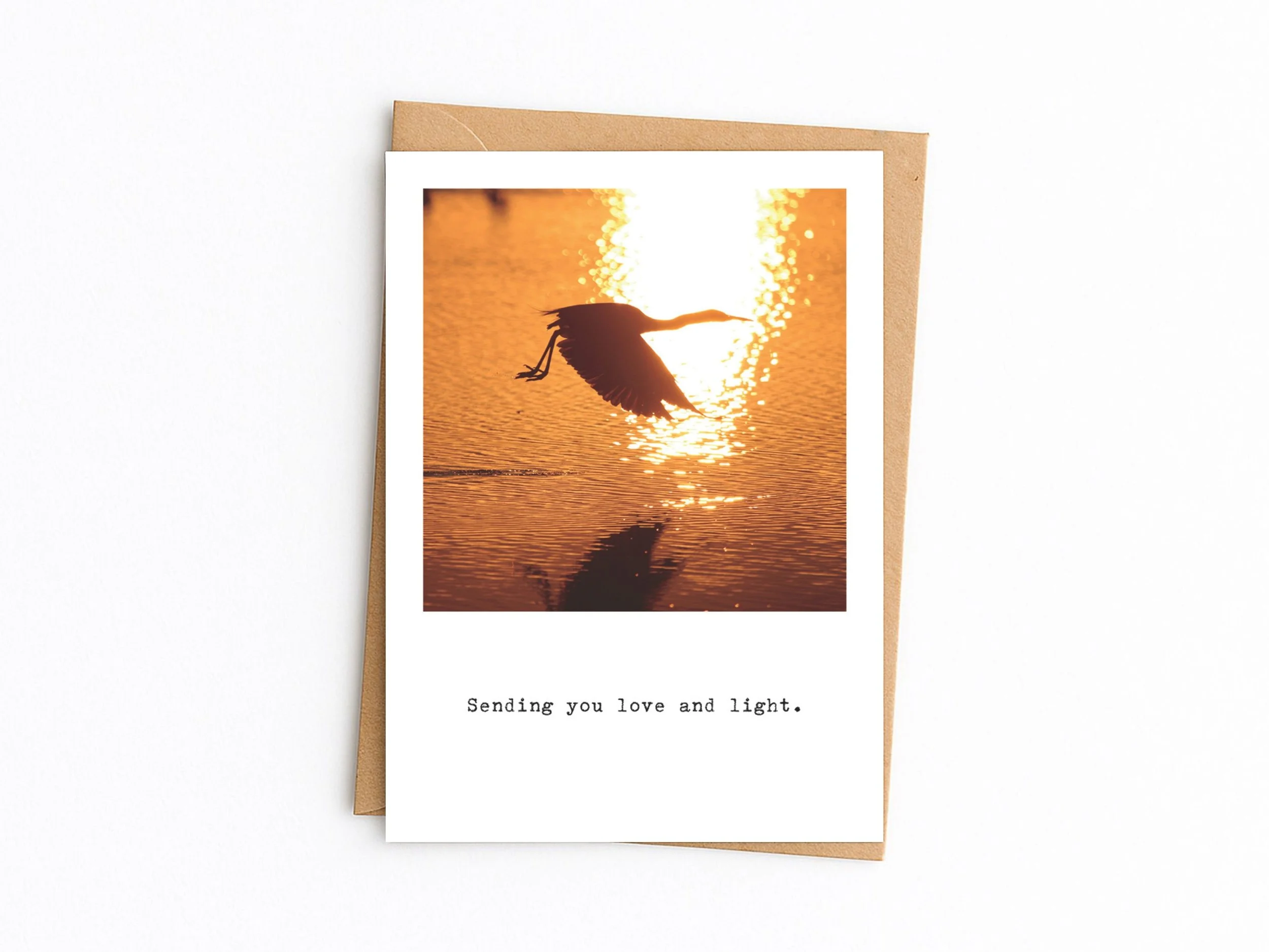 Sending you love and light. Reddish Egret