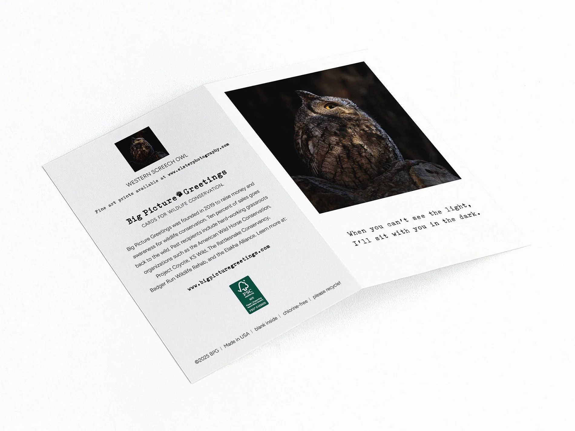 cant see light finished mock jpeg.jpg