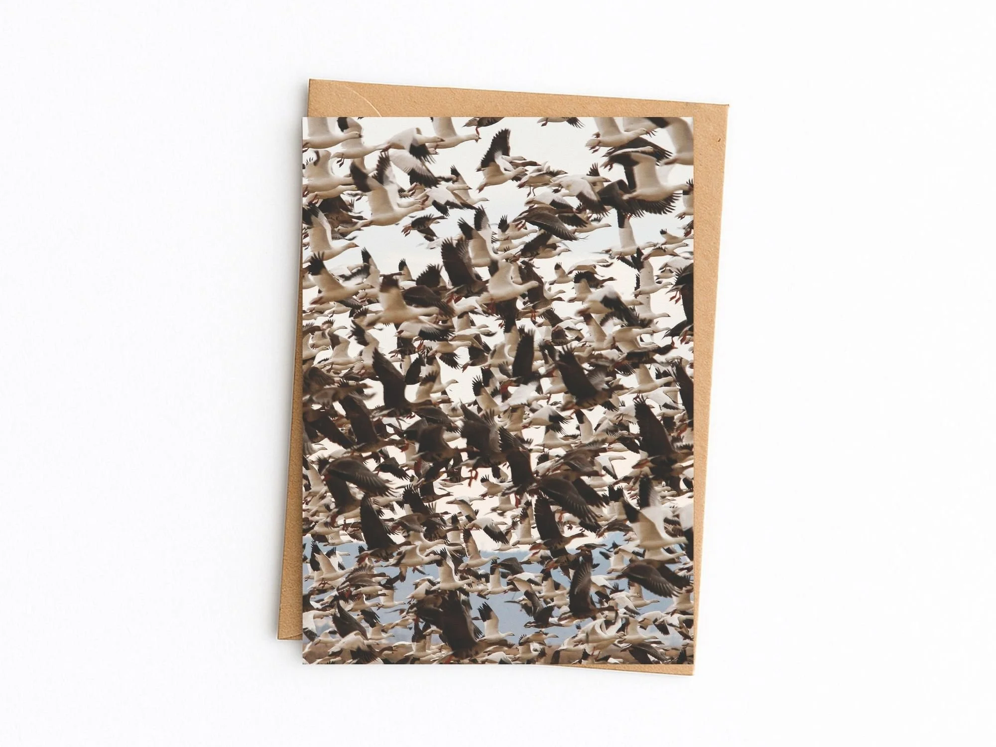 snow geese kraft.jpg