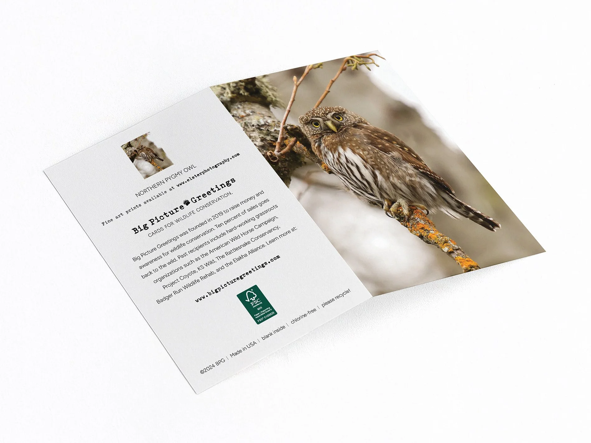 pygmy finished mock jpeg.jpg