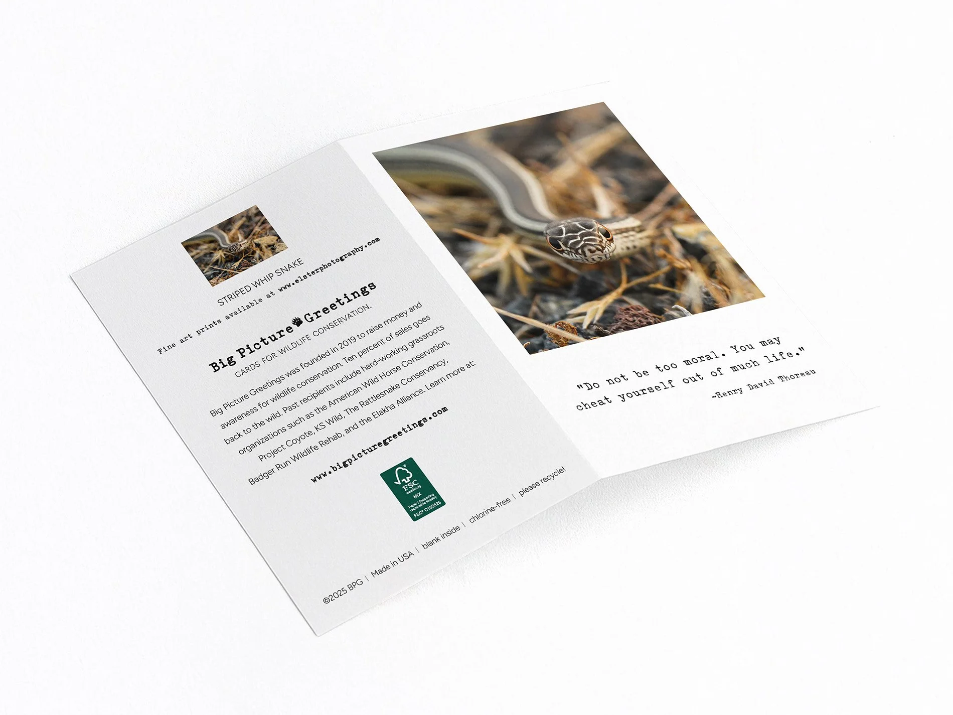 too moral finished mock jpeg.jpg