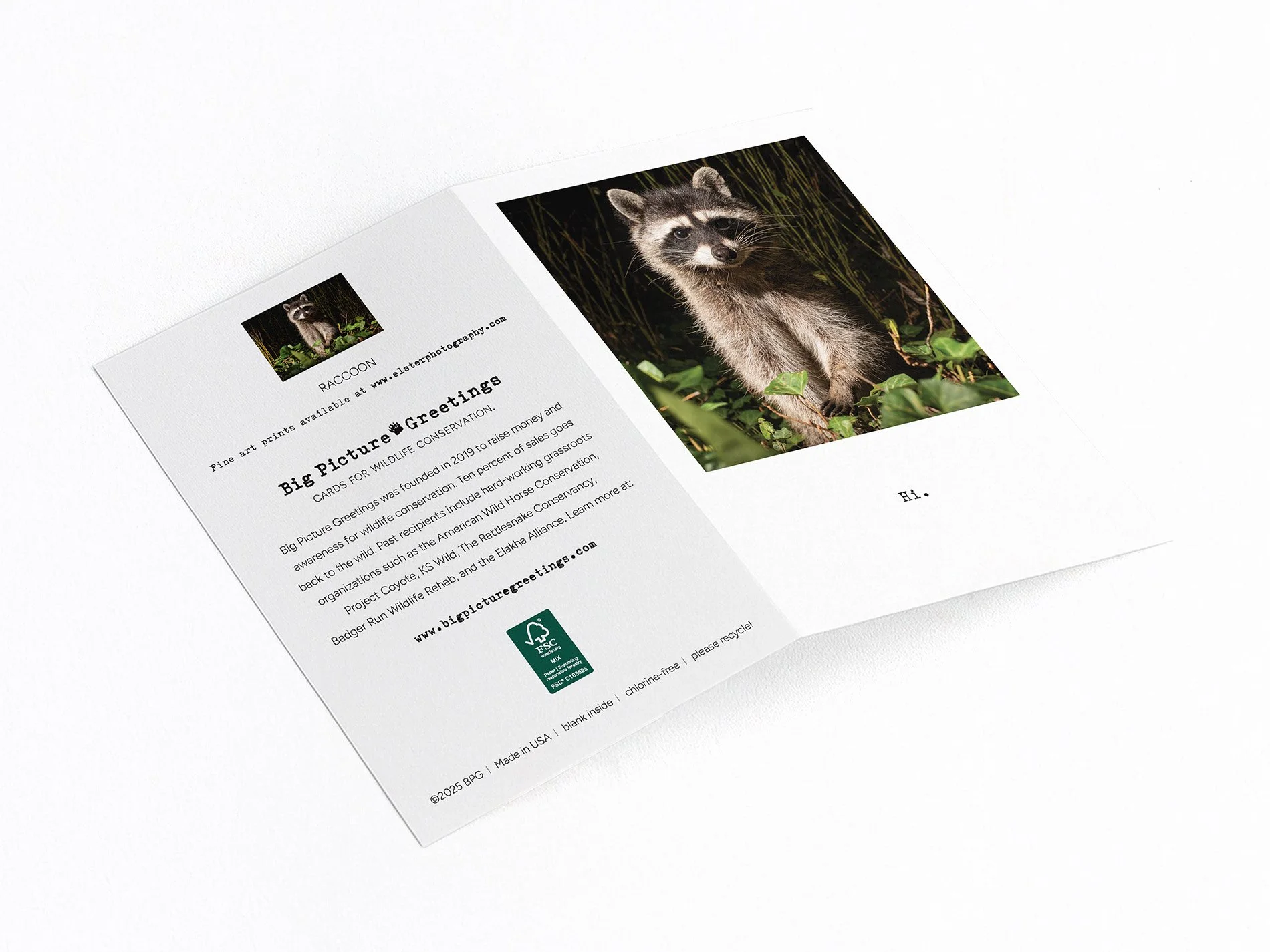 raccoon hi finished mockjpeg.jpg