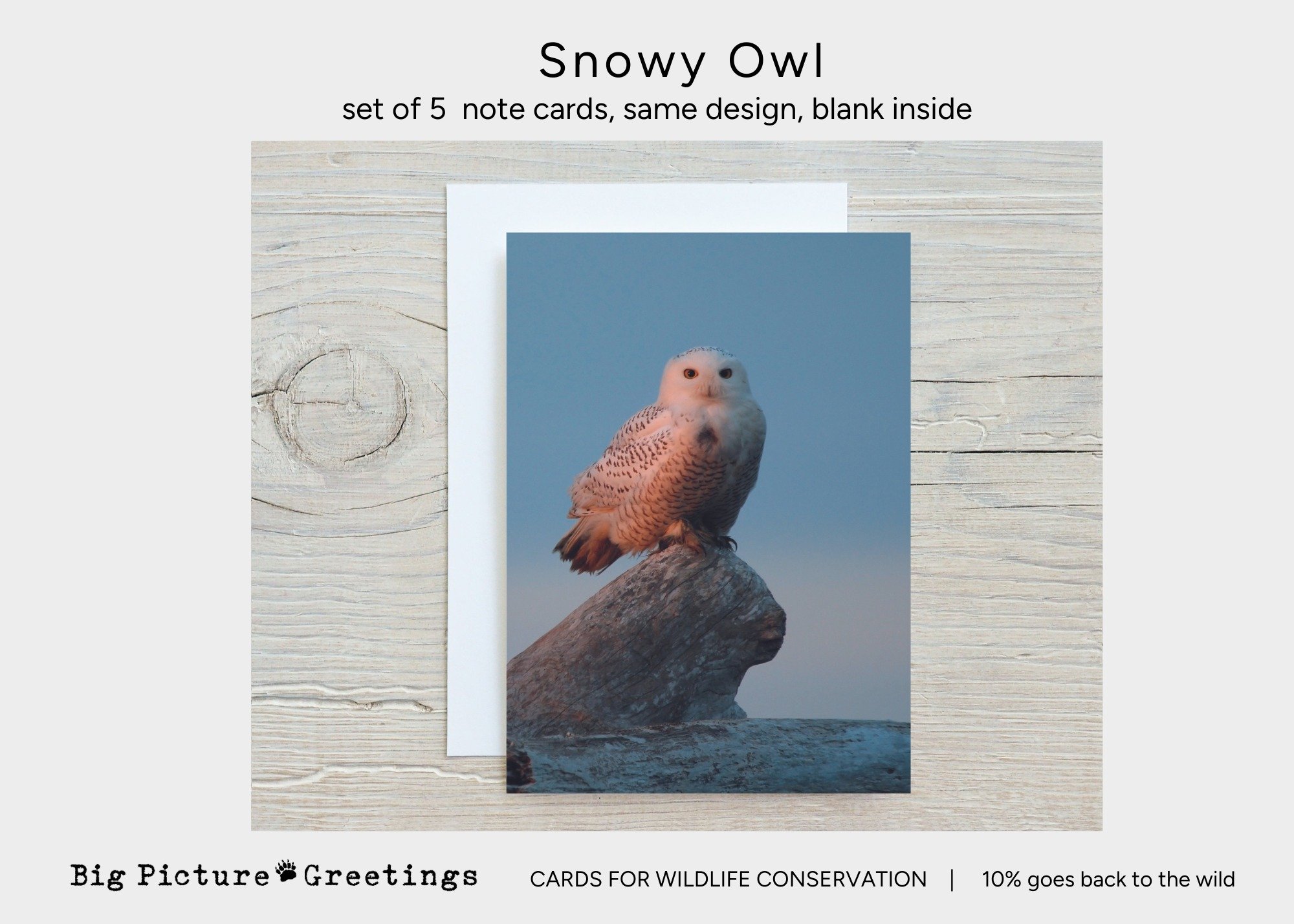 Copy of Copy of cards for wildlife conservation (35).jpg