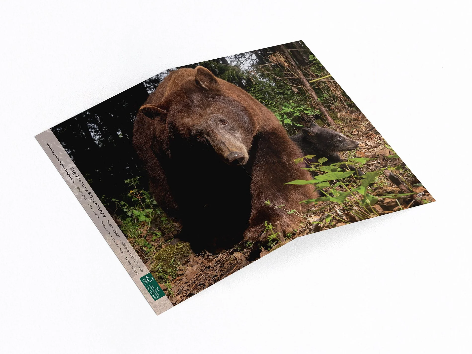 mama bear finished mockup jpeg.jpg