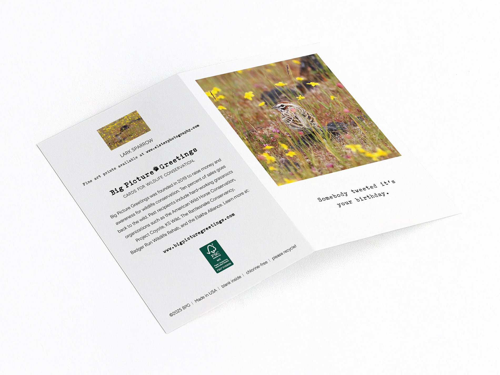 tweet finished mock jpeg.jpg