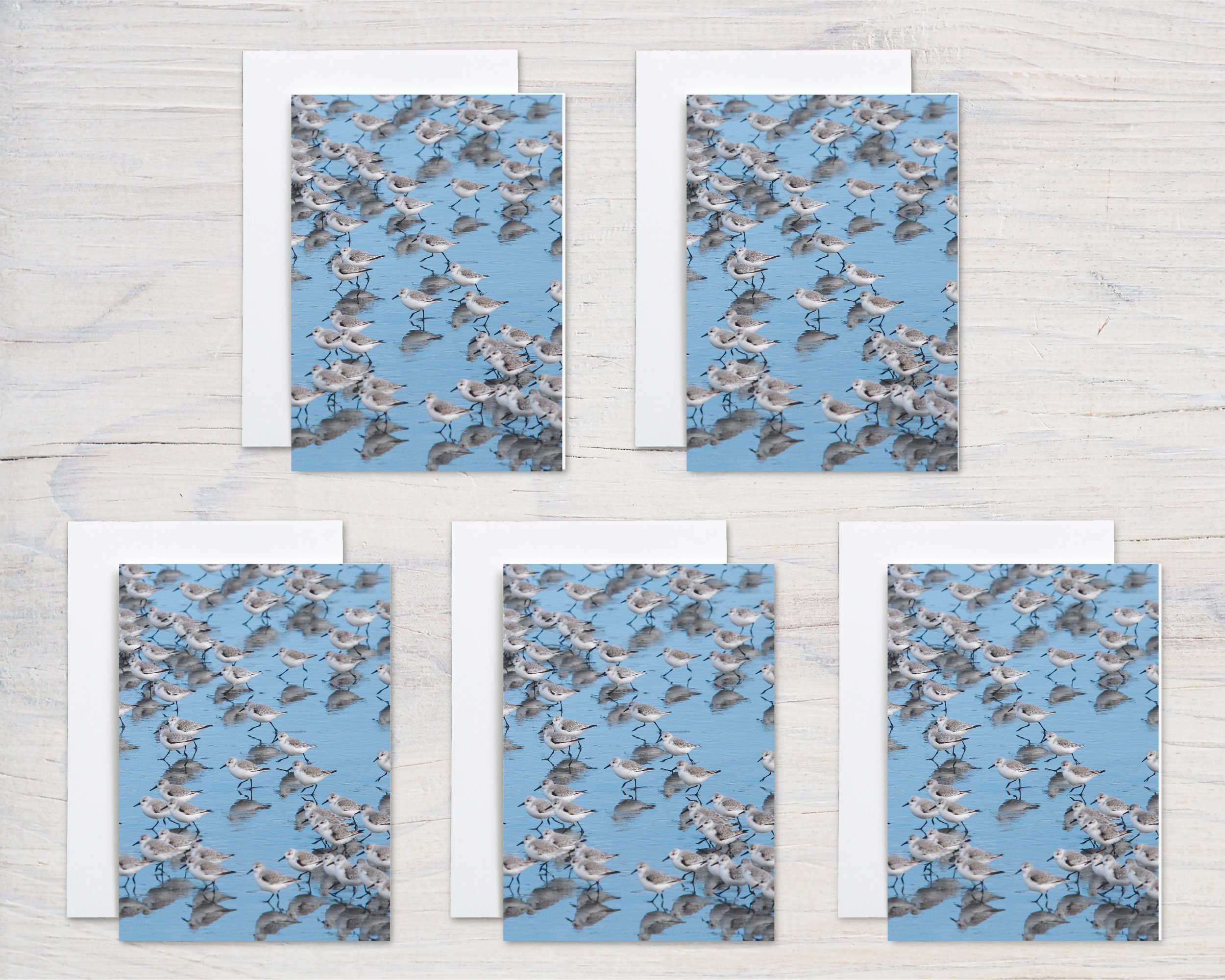 Untitled design - 2024-10-29T104349.357.jpg