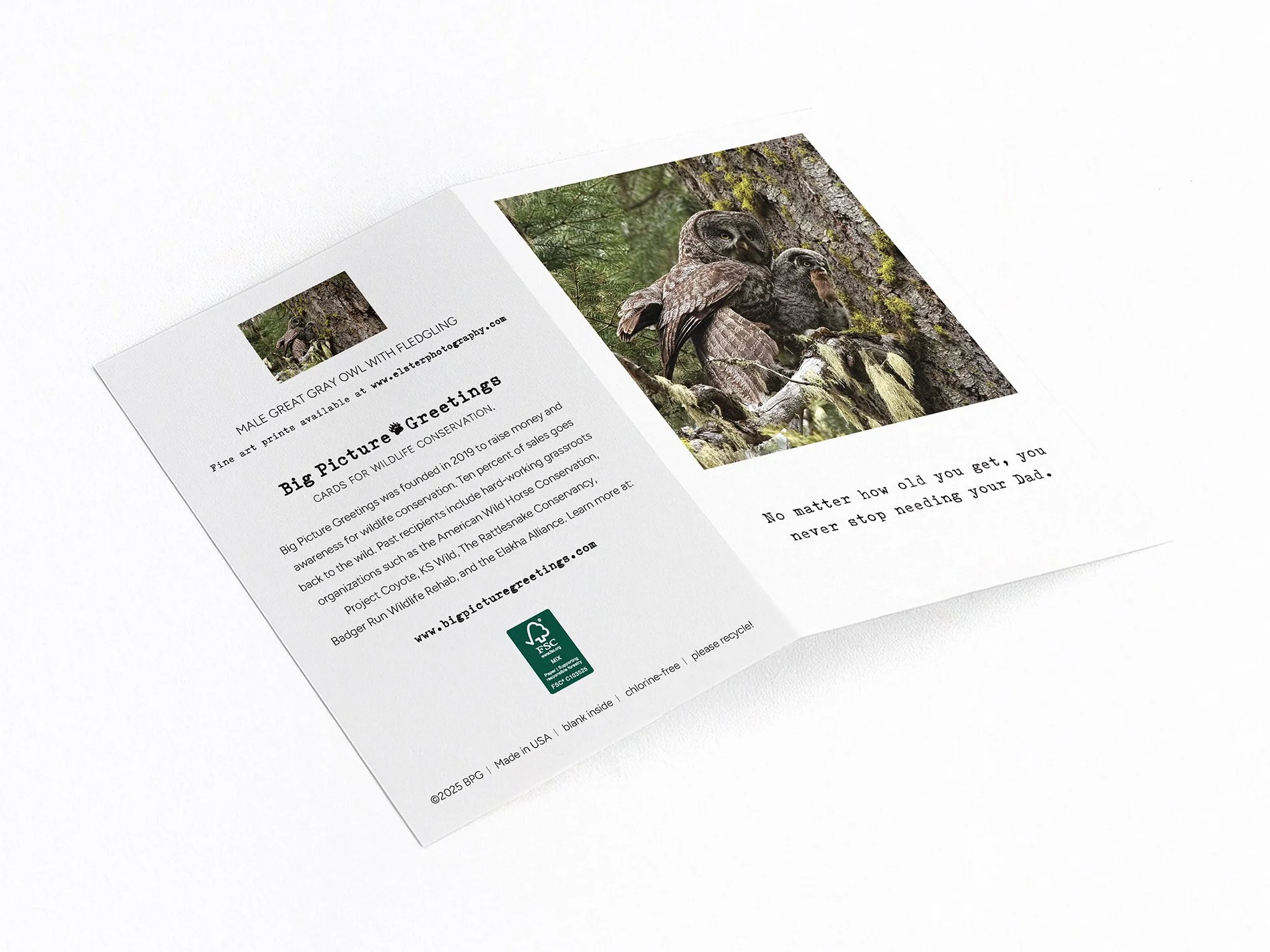 need dad finished mock jpeg.jpg