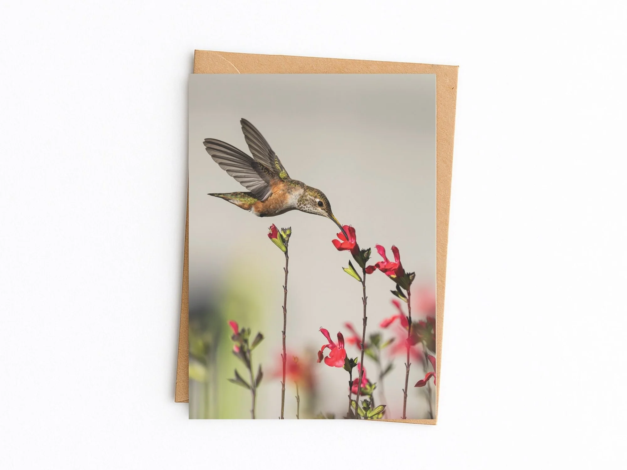 Copy of 2026 Card template front MASTER (5).jpg