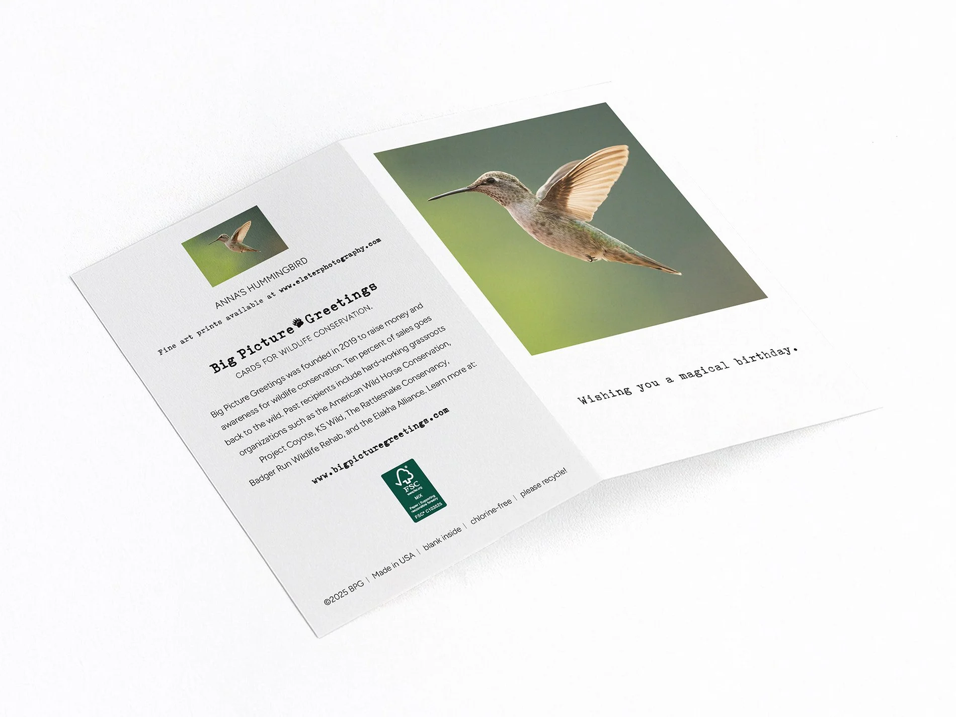 magical finished mockjpeg.jpg