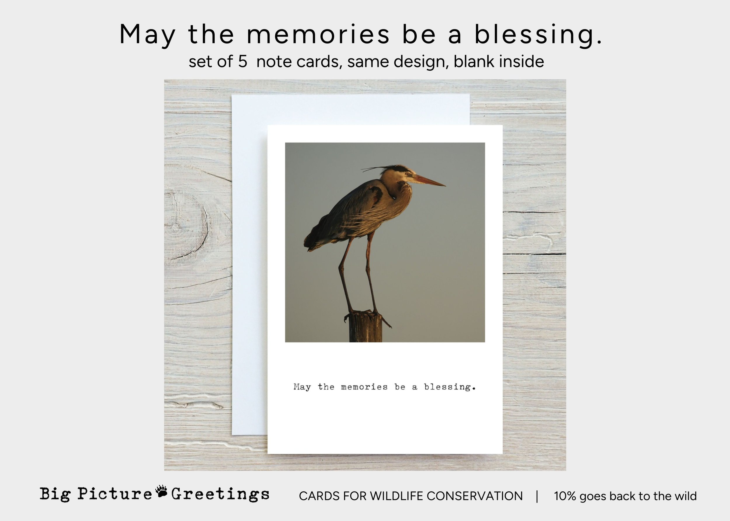 Copy of Copy of cards for wildlife conservation (11).jpg