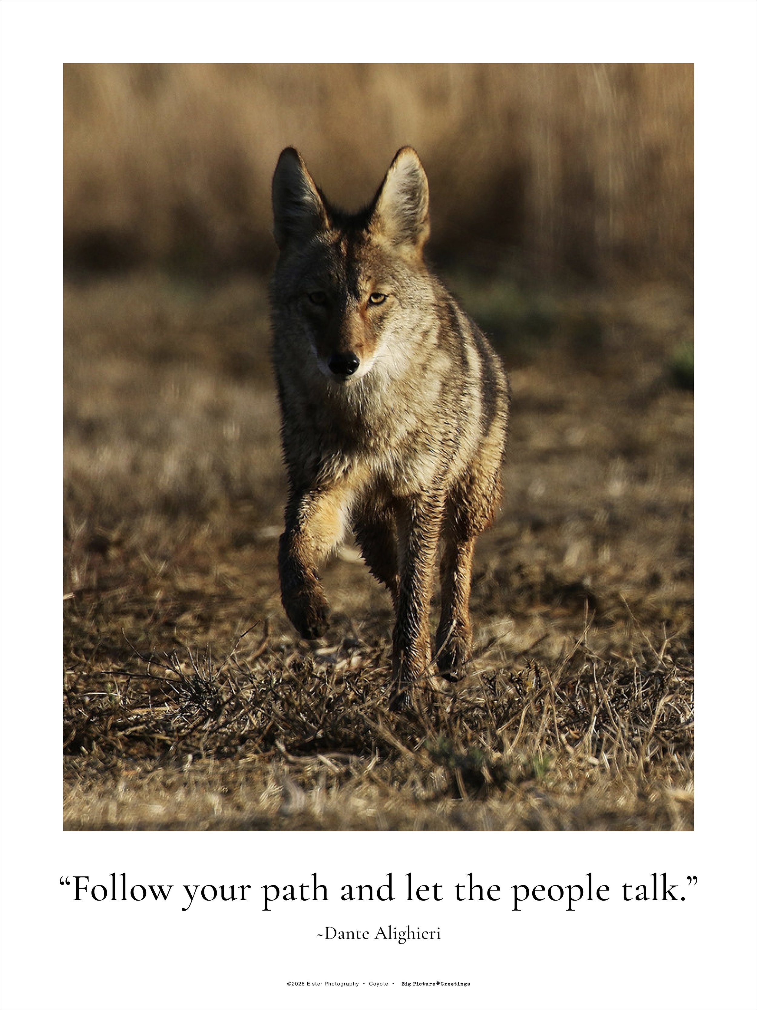 18x24 Follow Your Path fine art poster