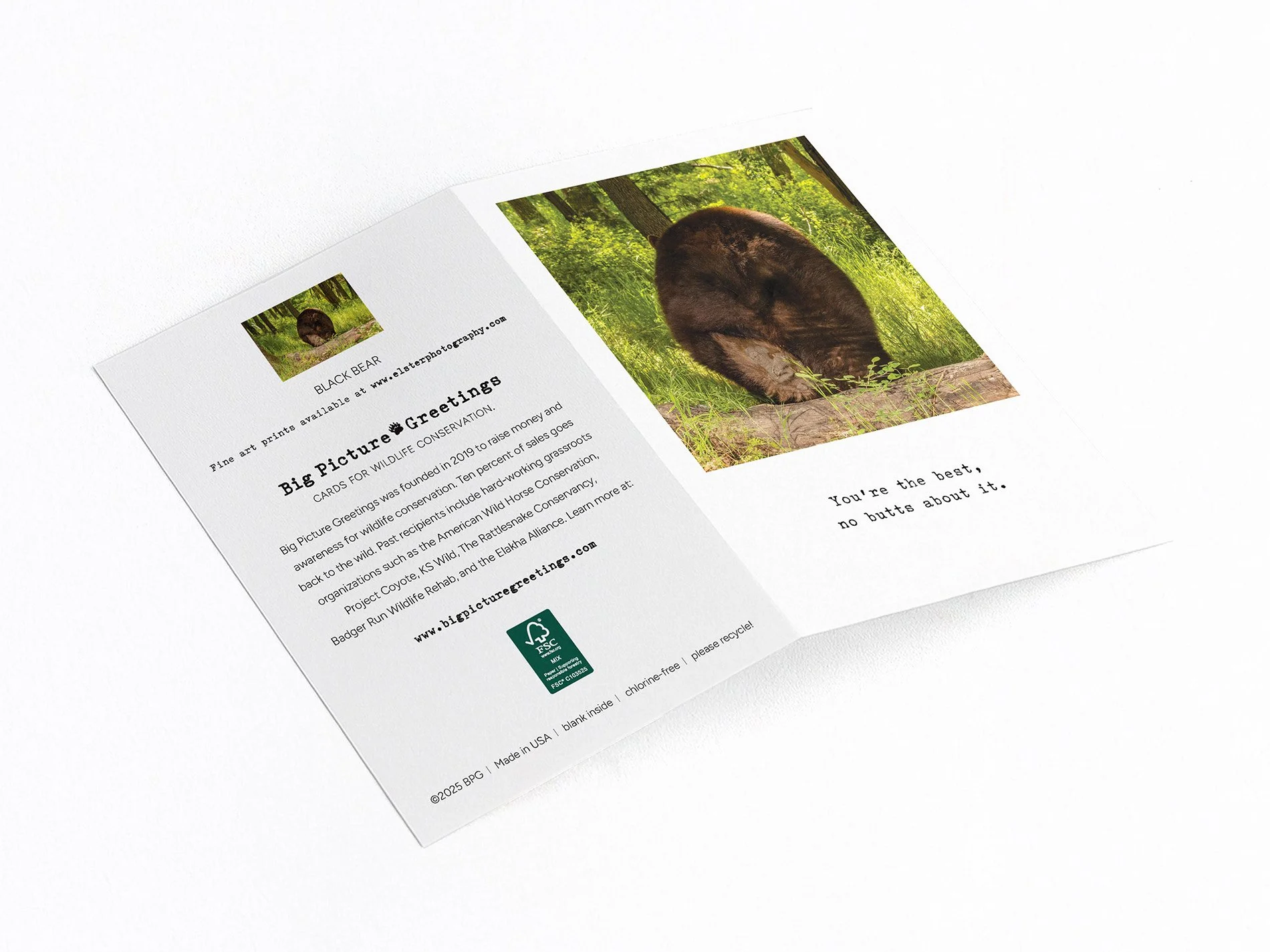 no butts finished mock jpeg.jpg