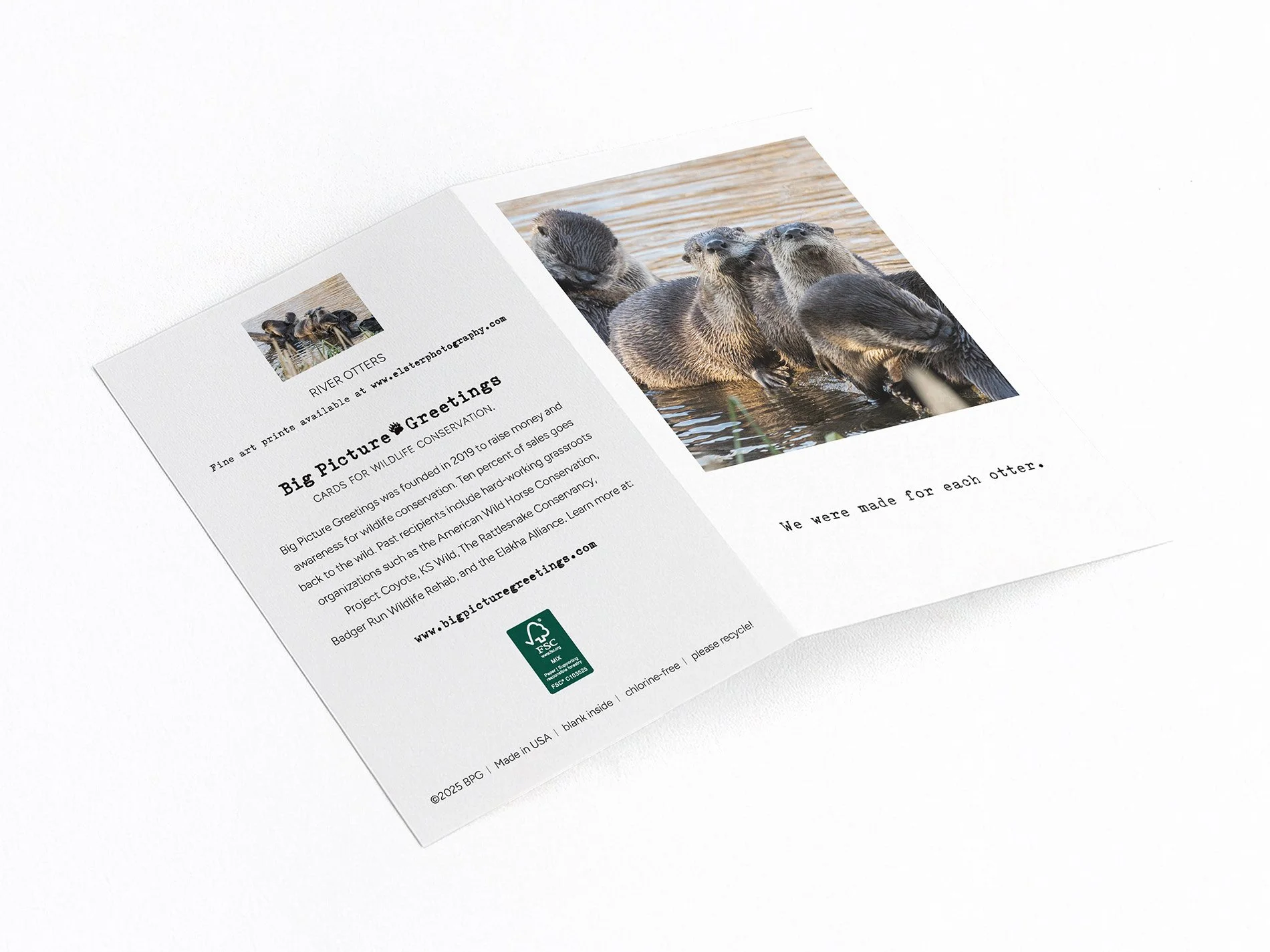 mfe otter finished mock jpeg.jpg