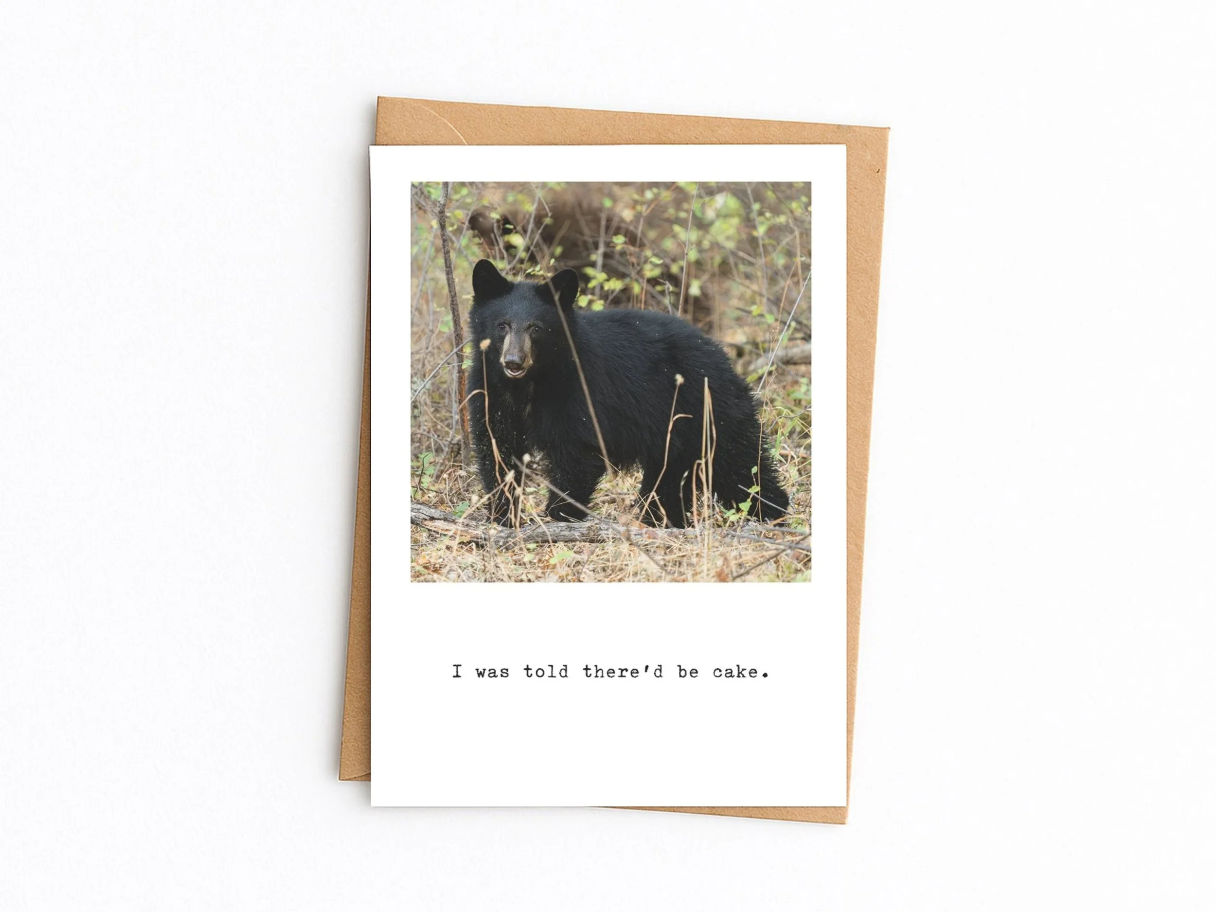I was told there would be cake. Black Bear birthday card