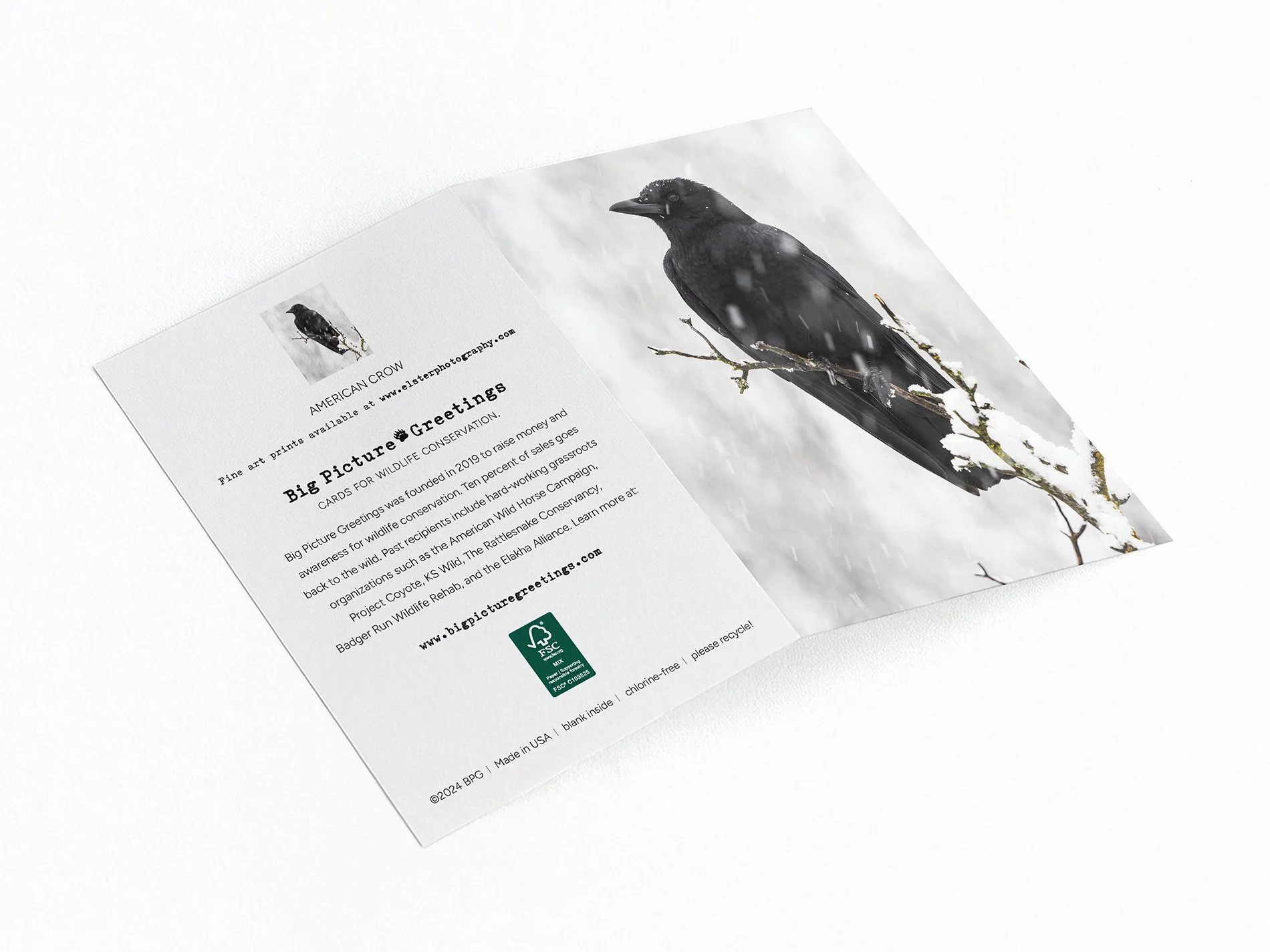 crow in snow finished mock jpeg.jpg