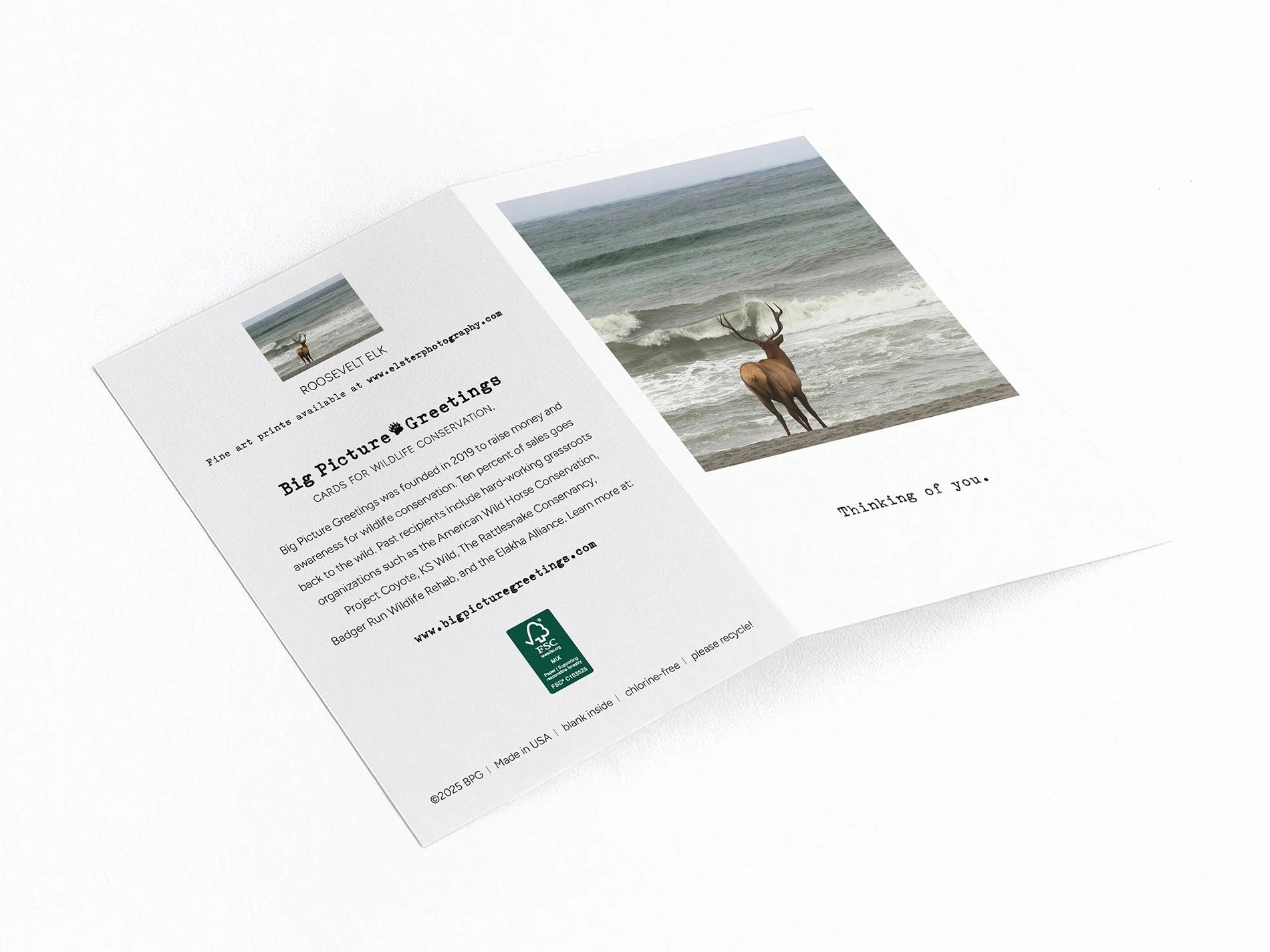 elk finished mock jpeg.jpg