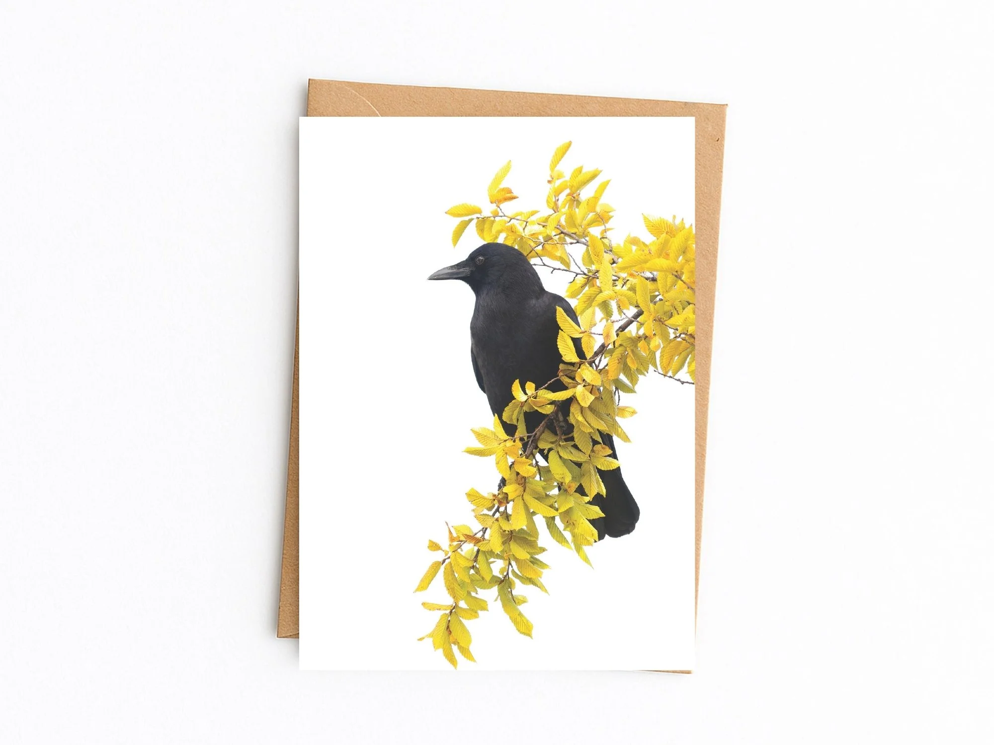 American Crow blank note card
