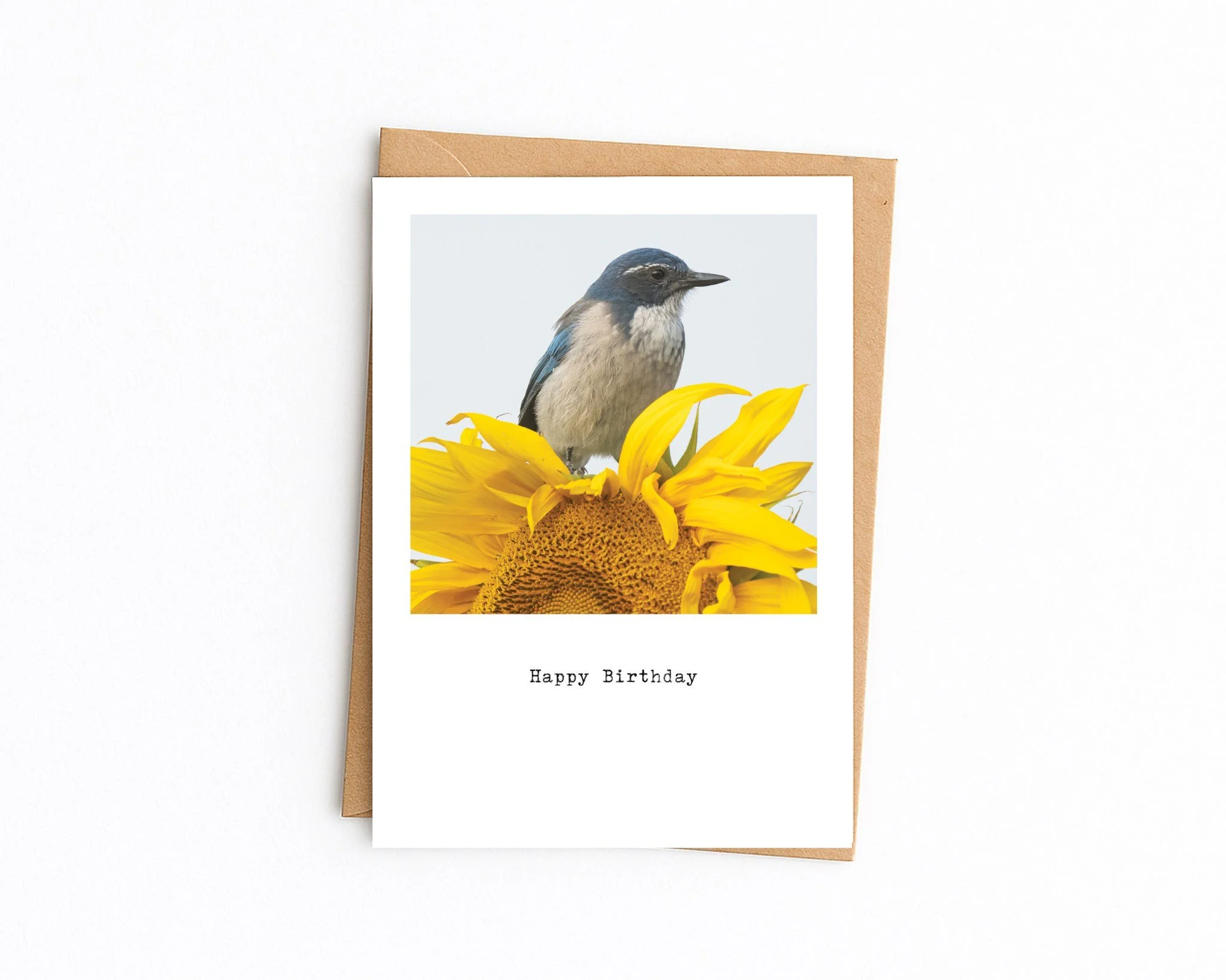 5x7 white with kraft envelope (41).jpg