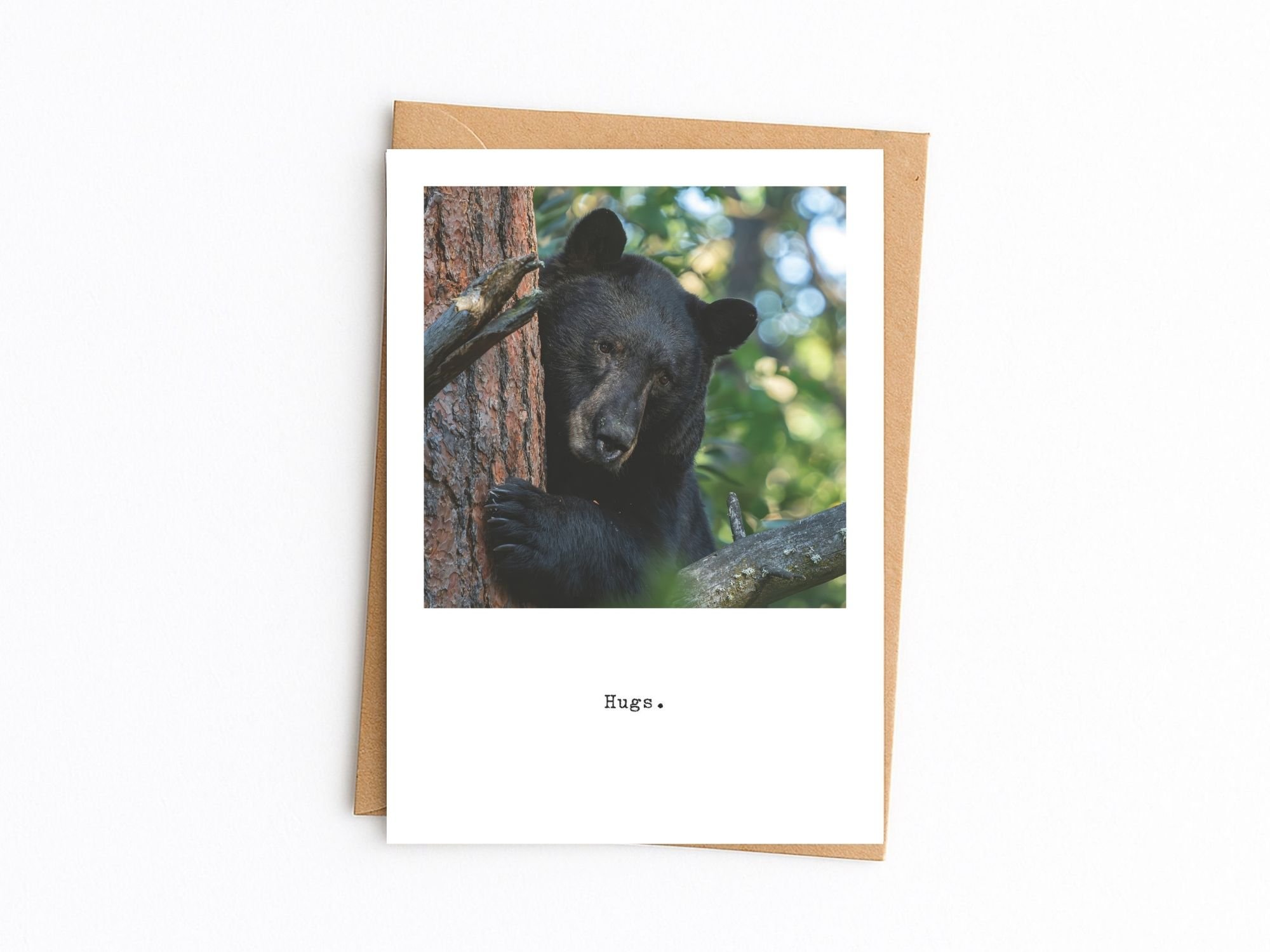 Hugs from a Black Bear