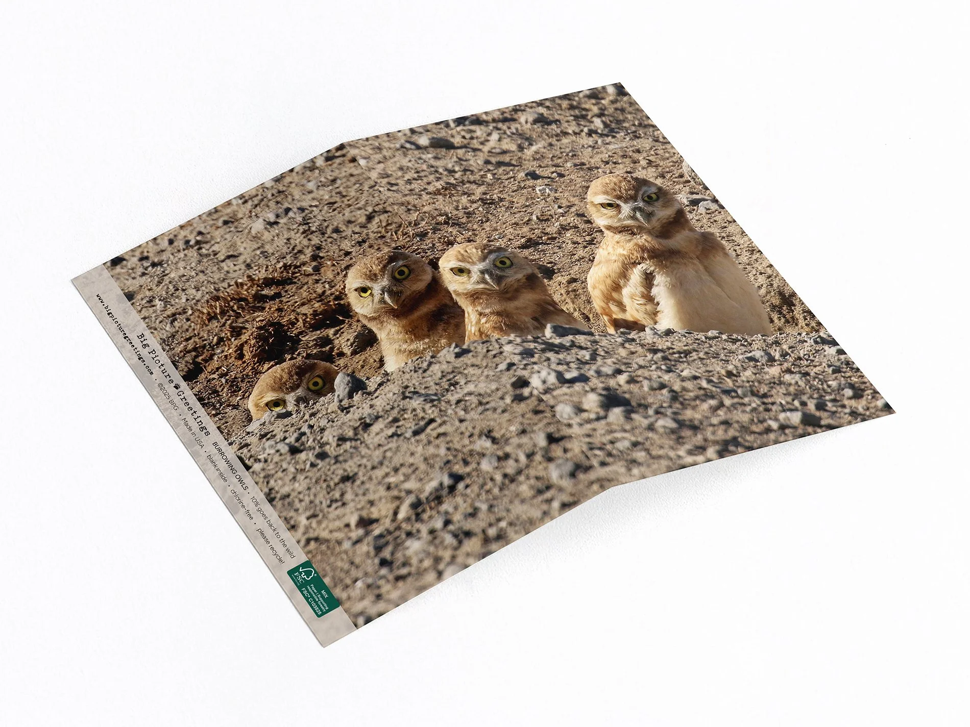 burrowing owls finished mockup jpeg.jpg