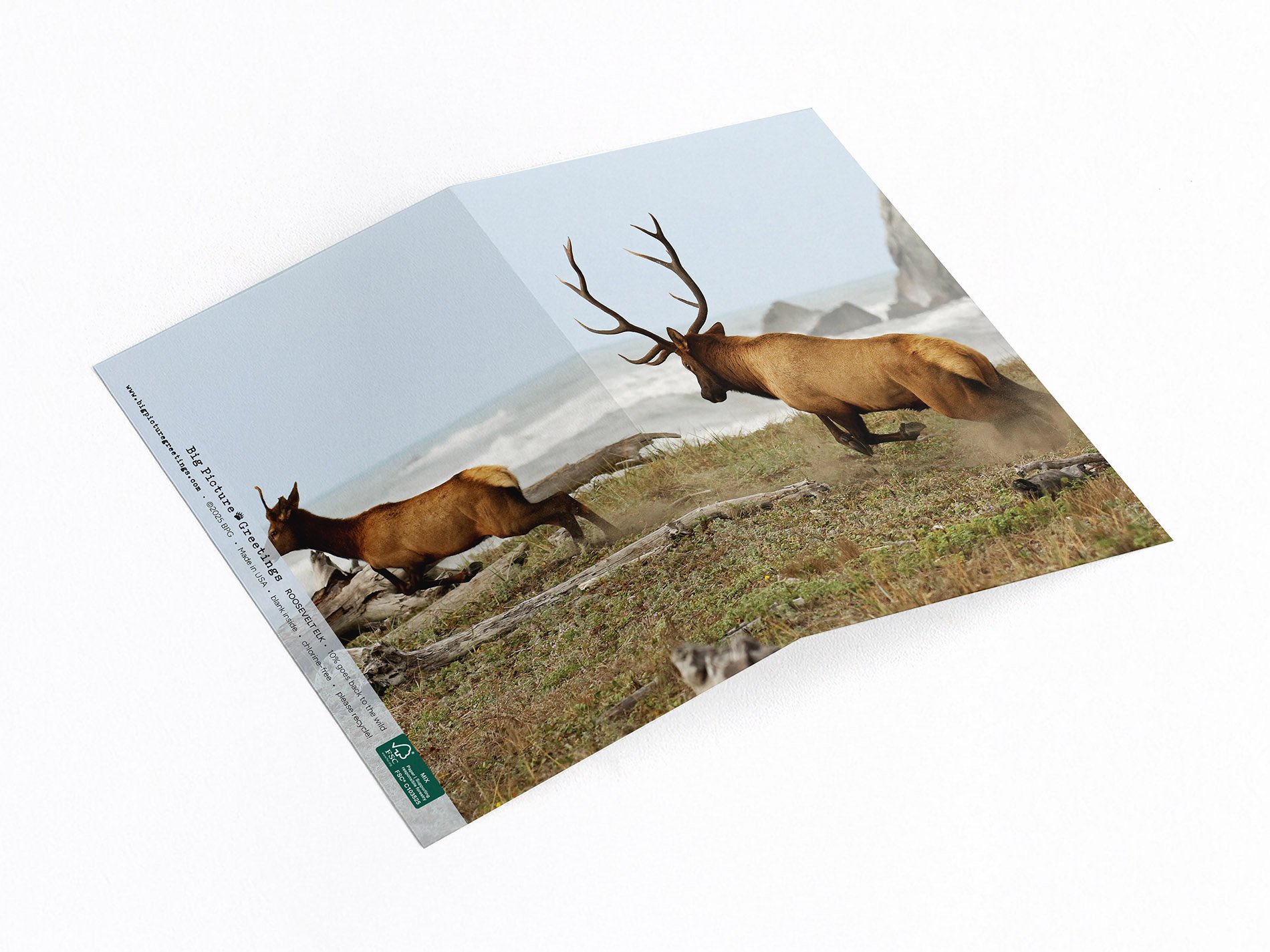 Elk wrap around card