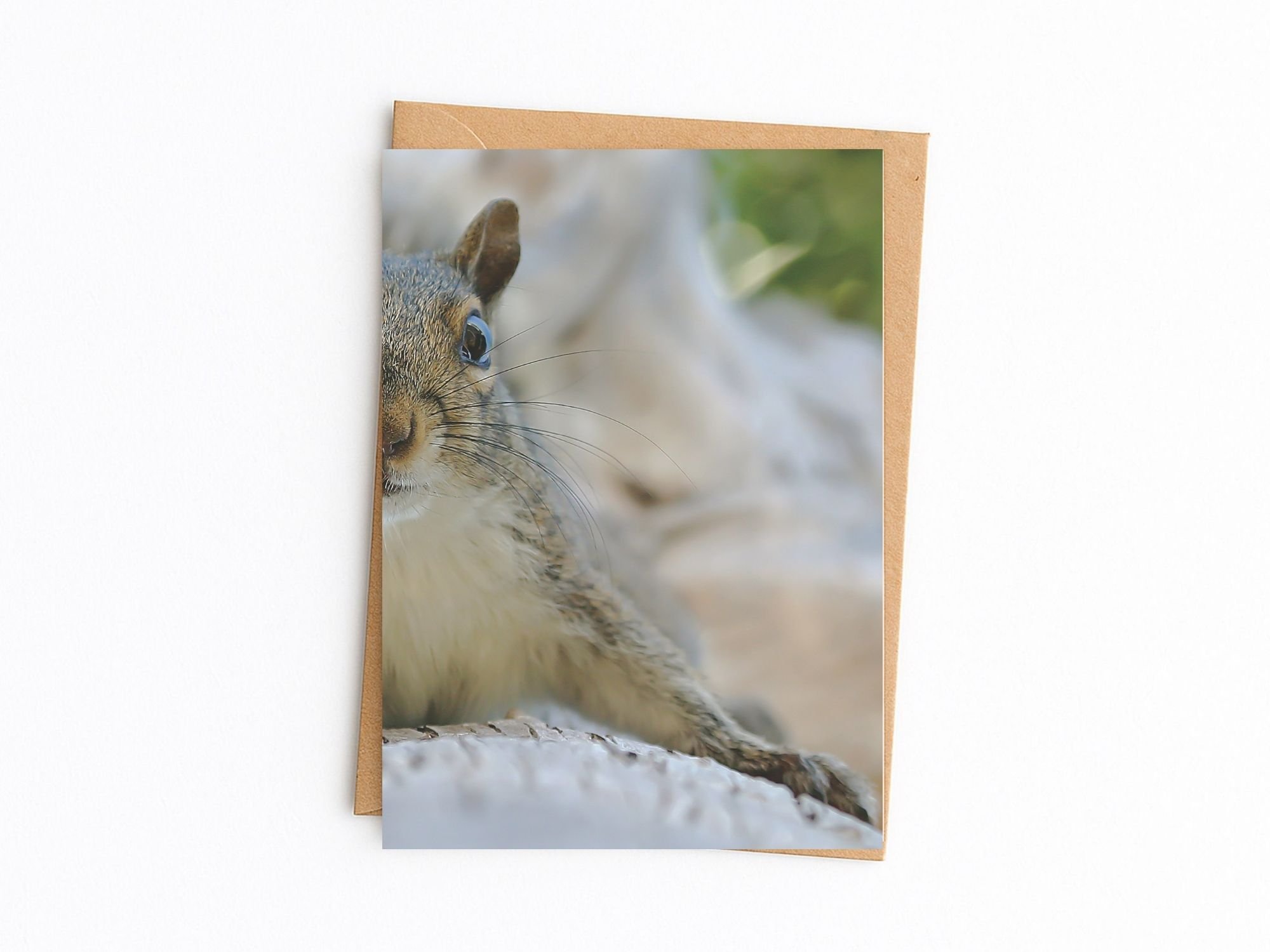 gray squirrel kraft.jpg