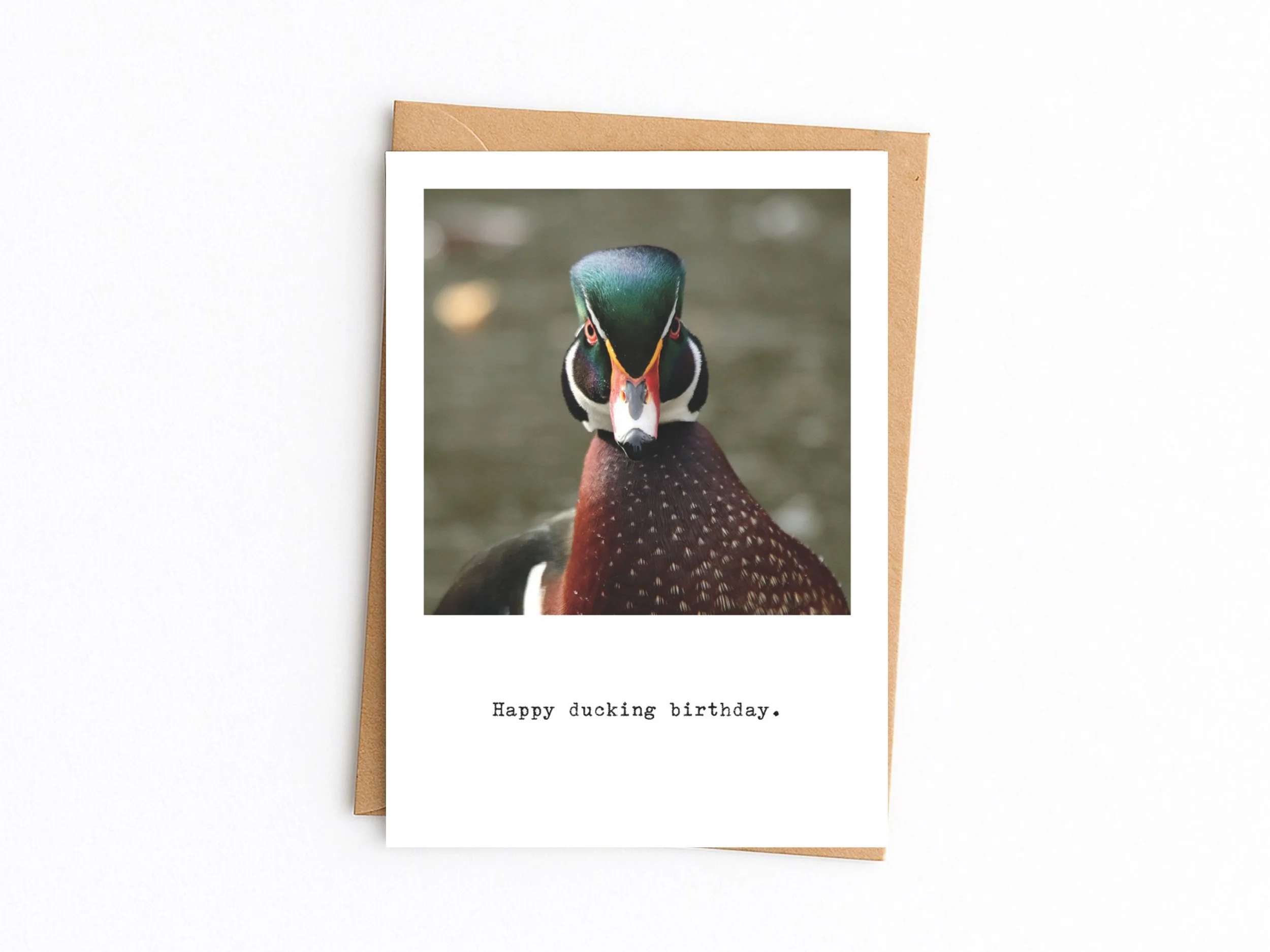 Happy Ducking Birthday! Wood Duck