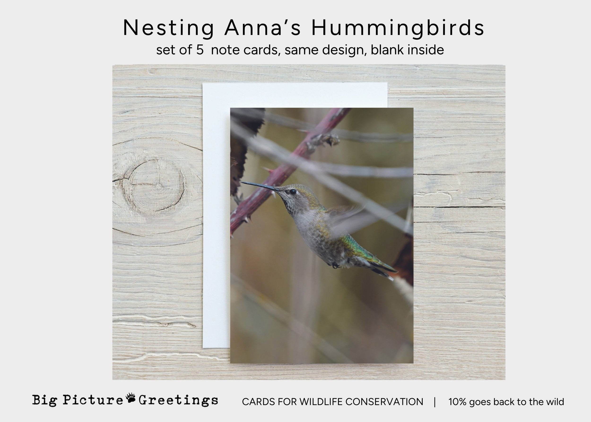 Copy of Copy of cards for wildlife conservation (27).jpg