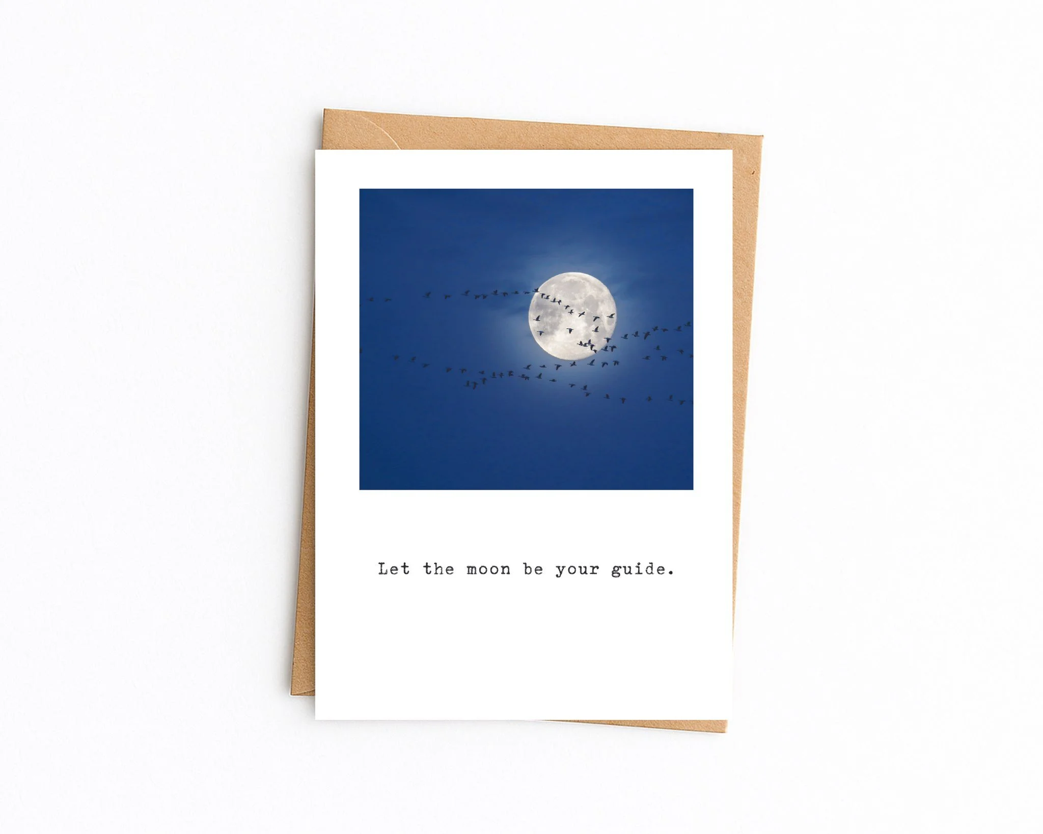5x7 white with kraft envelope (80).jpg