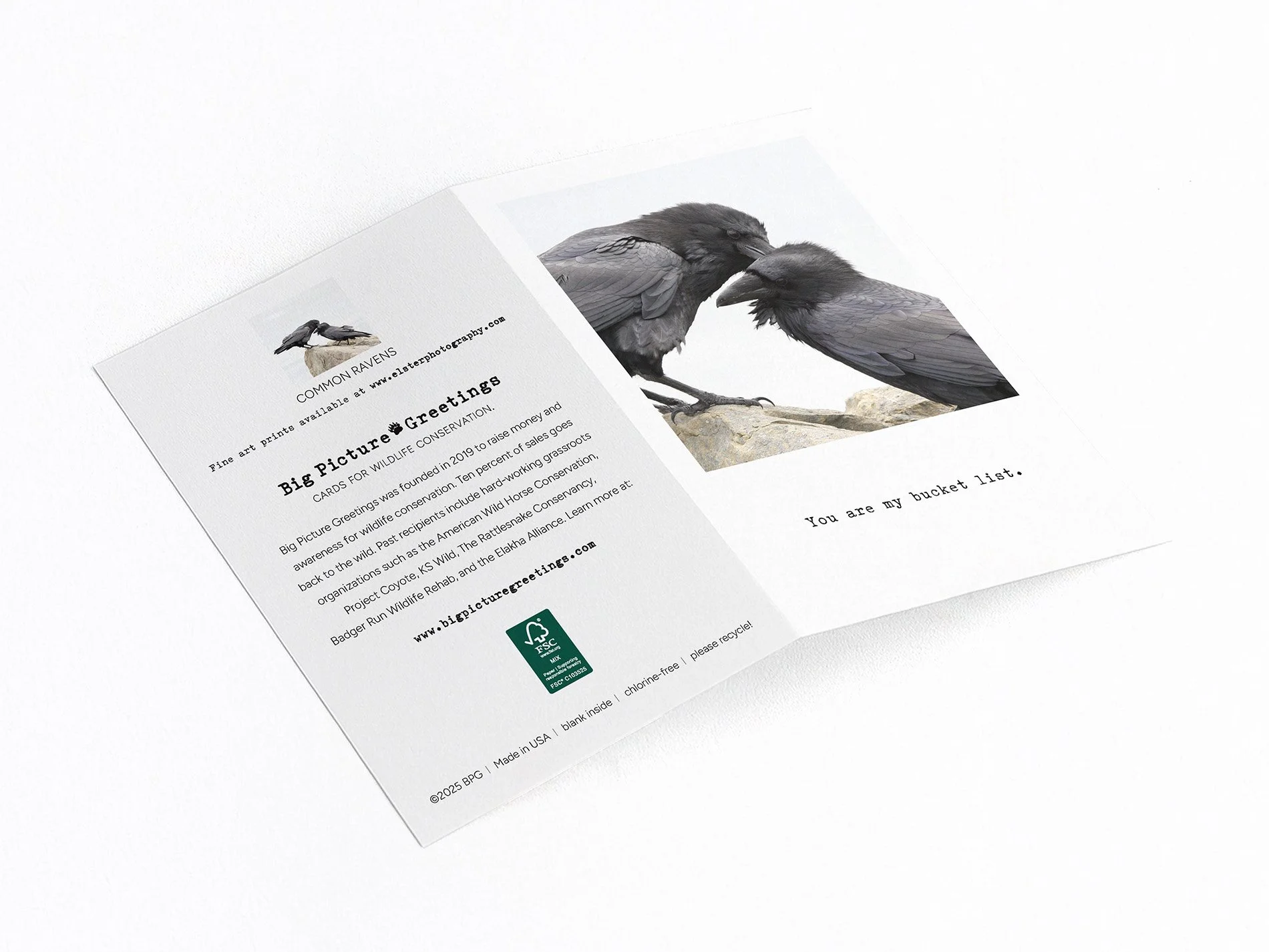 bucket list finished mock jpeg.jpg