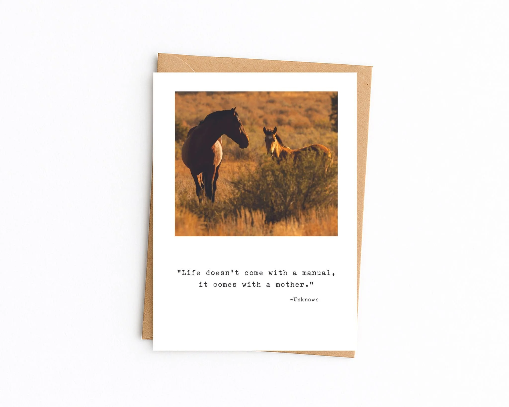 5x7 white with kraft envelope (77).jpg