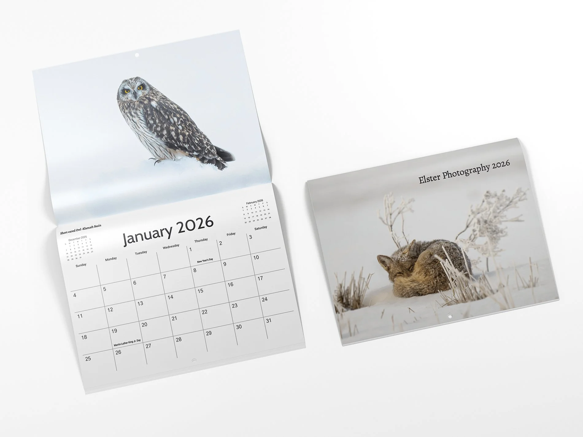 4Dan wall calendar-minforweb.jpg