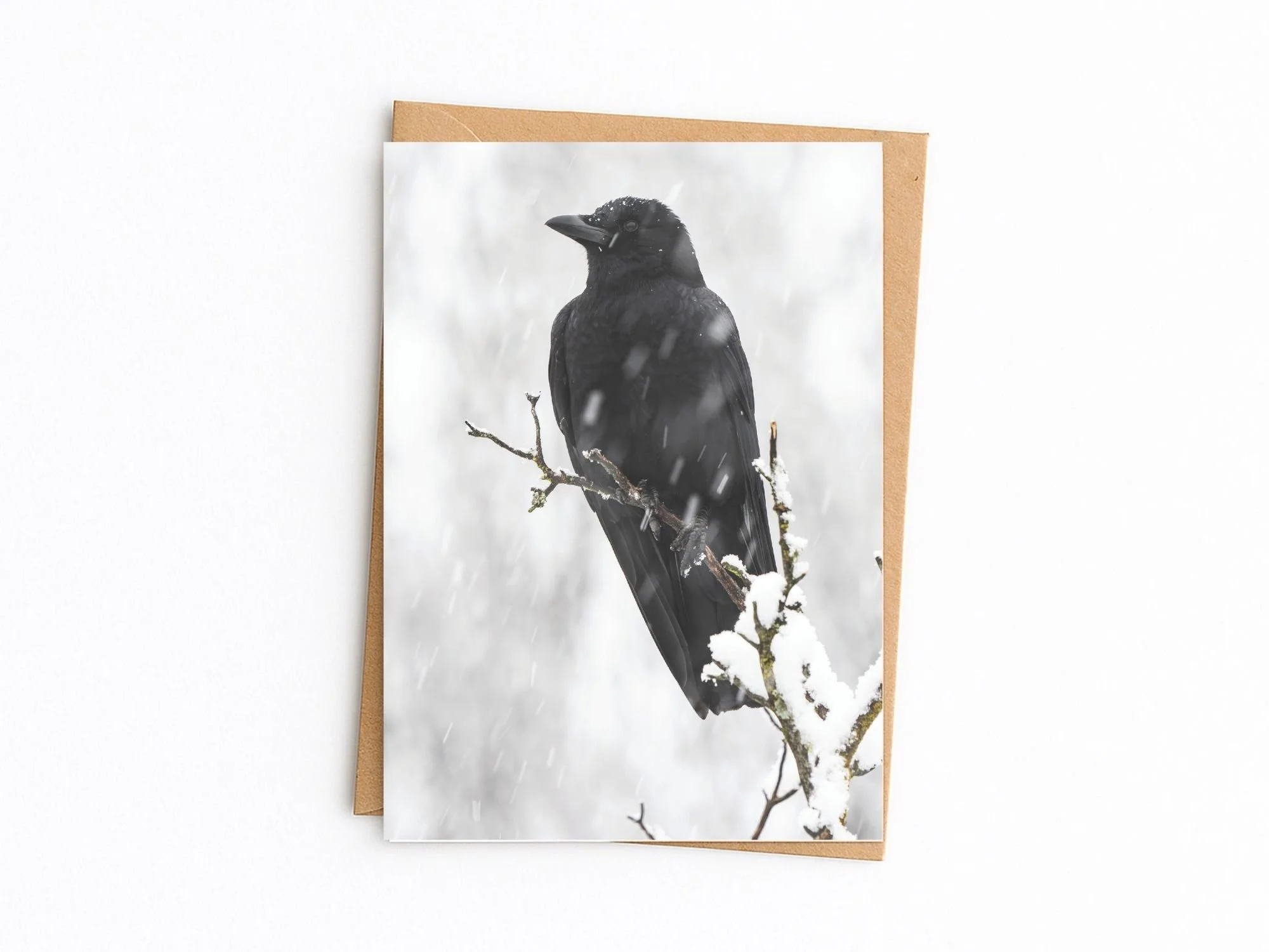 Copy of 2026 Card template front MASTER (74).jpg