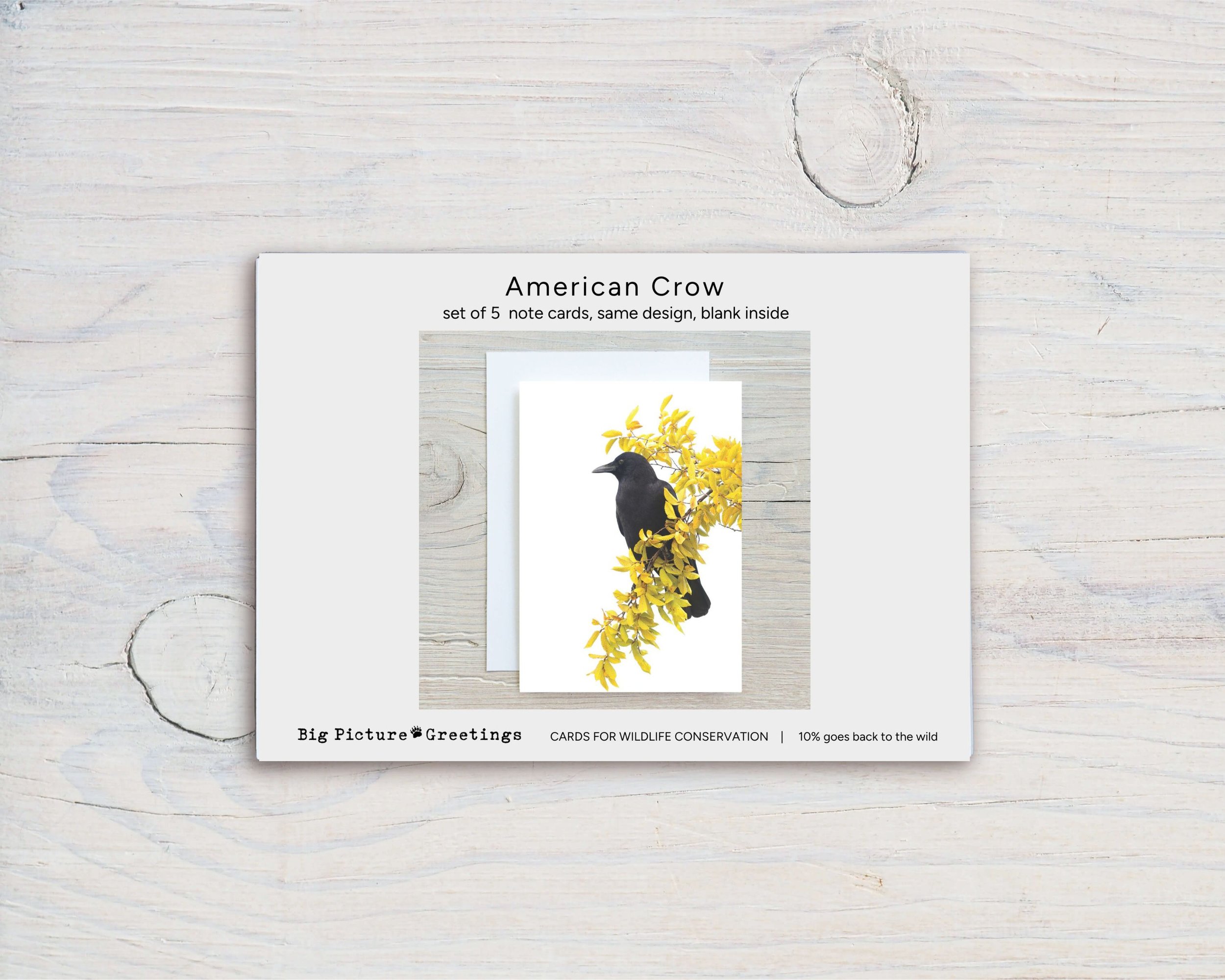 Untitled design - 2024-10-17T073159.906.jpg