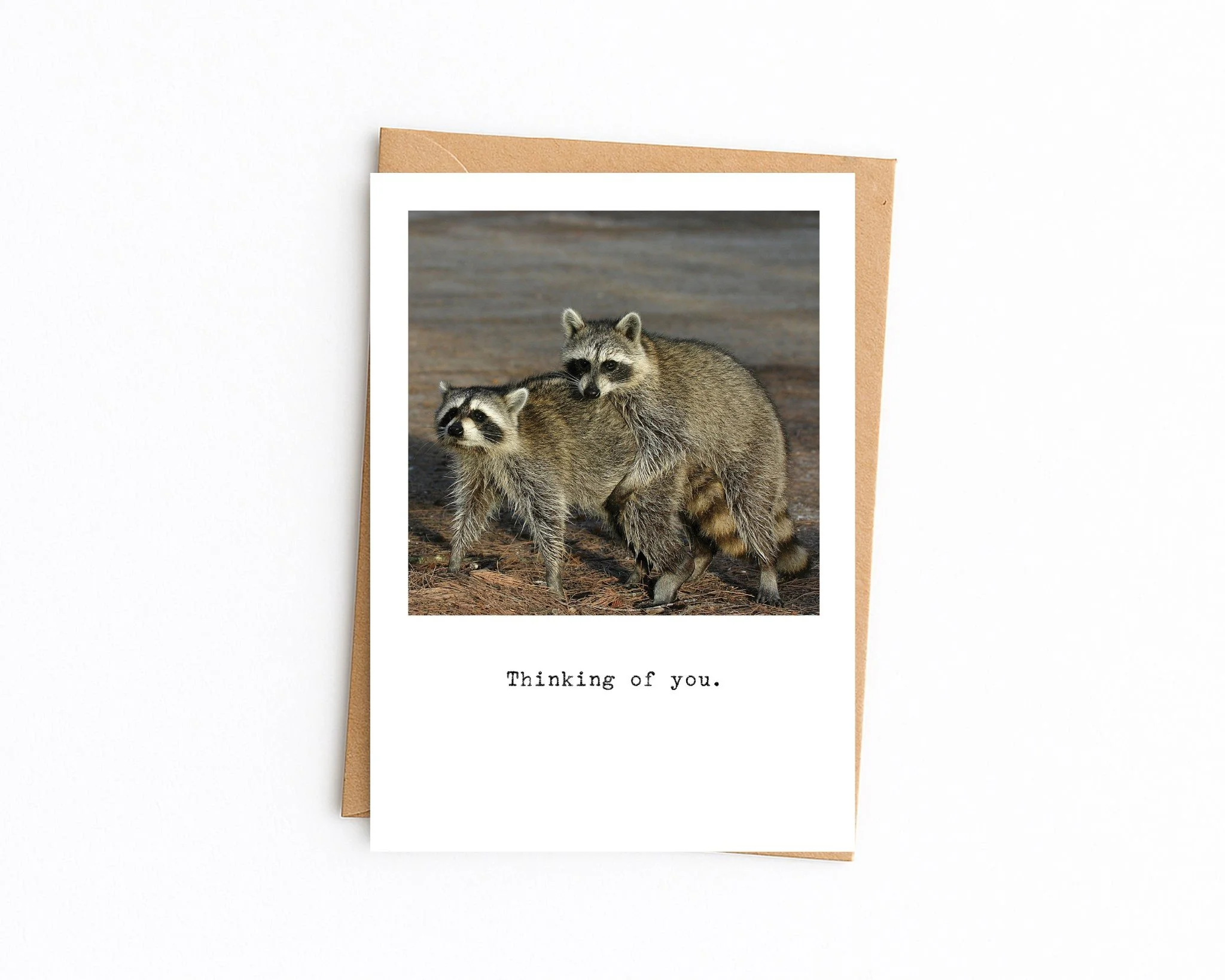 5x7 white with kraft envelope (69).jpg